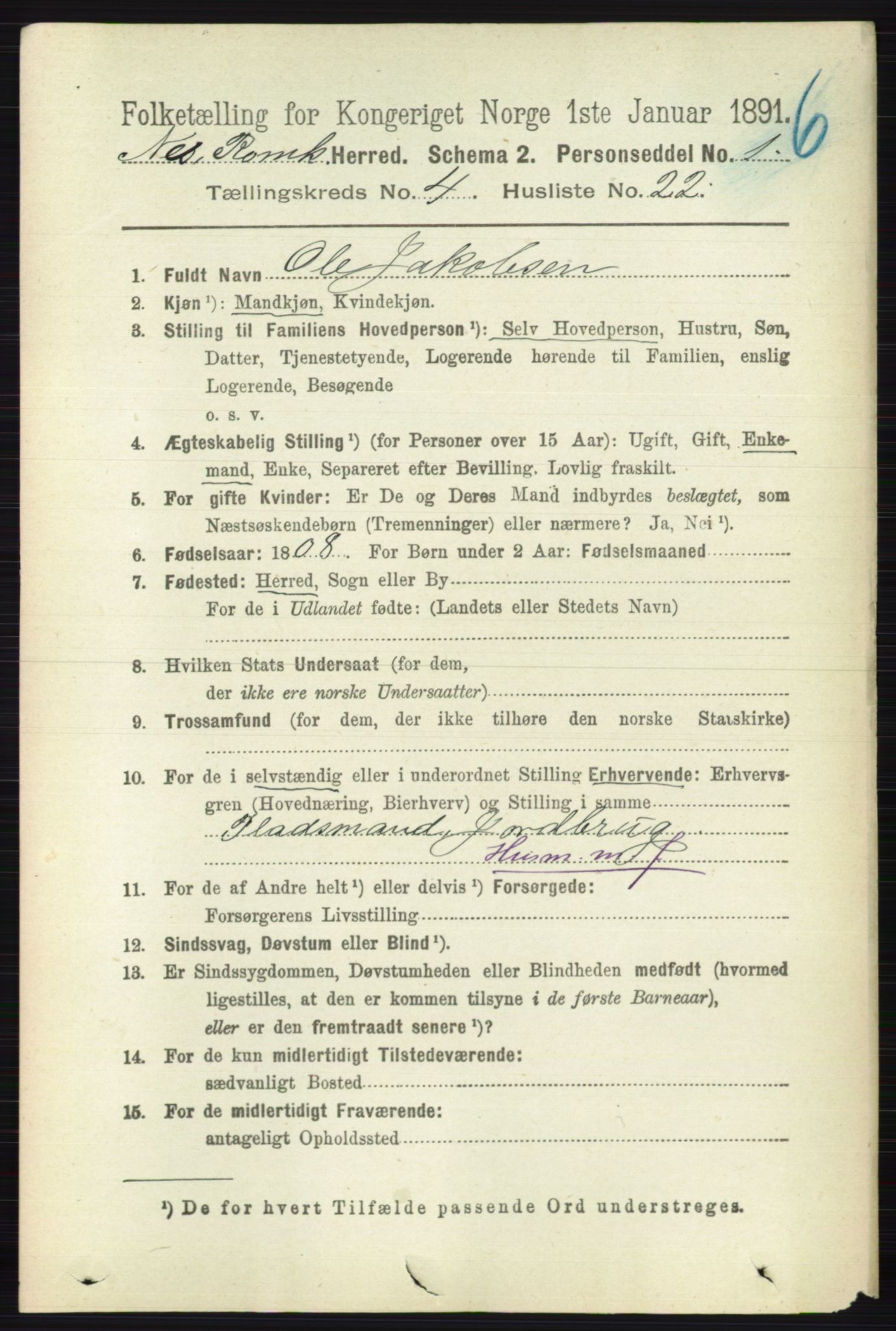 RA, 1891 census for 0236 Nes, 1891, p. 2380