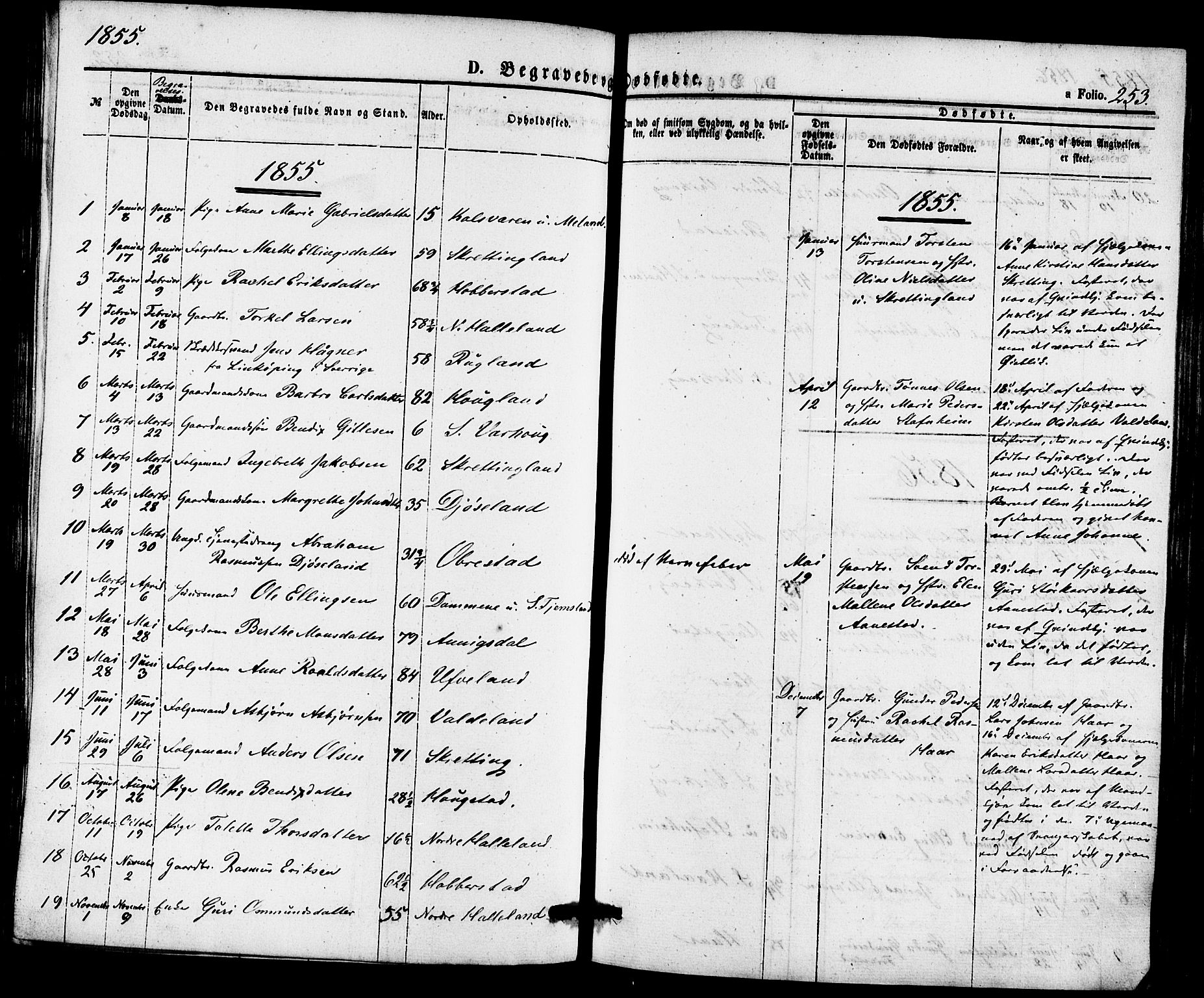 Hå sokneprestkontor, SAST/A-101801/001/30BA/L0009: Parish register (official) no. A 8, 1855-1878, p. 253