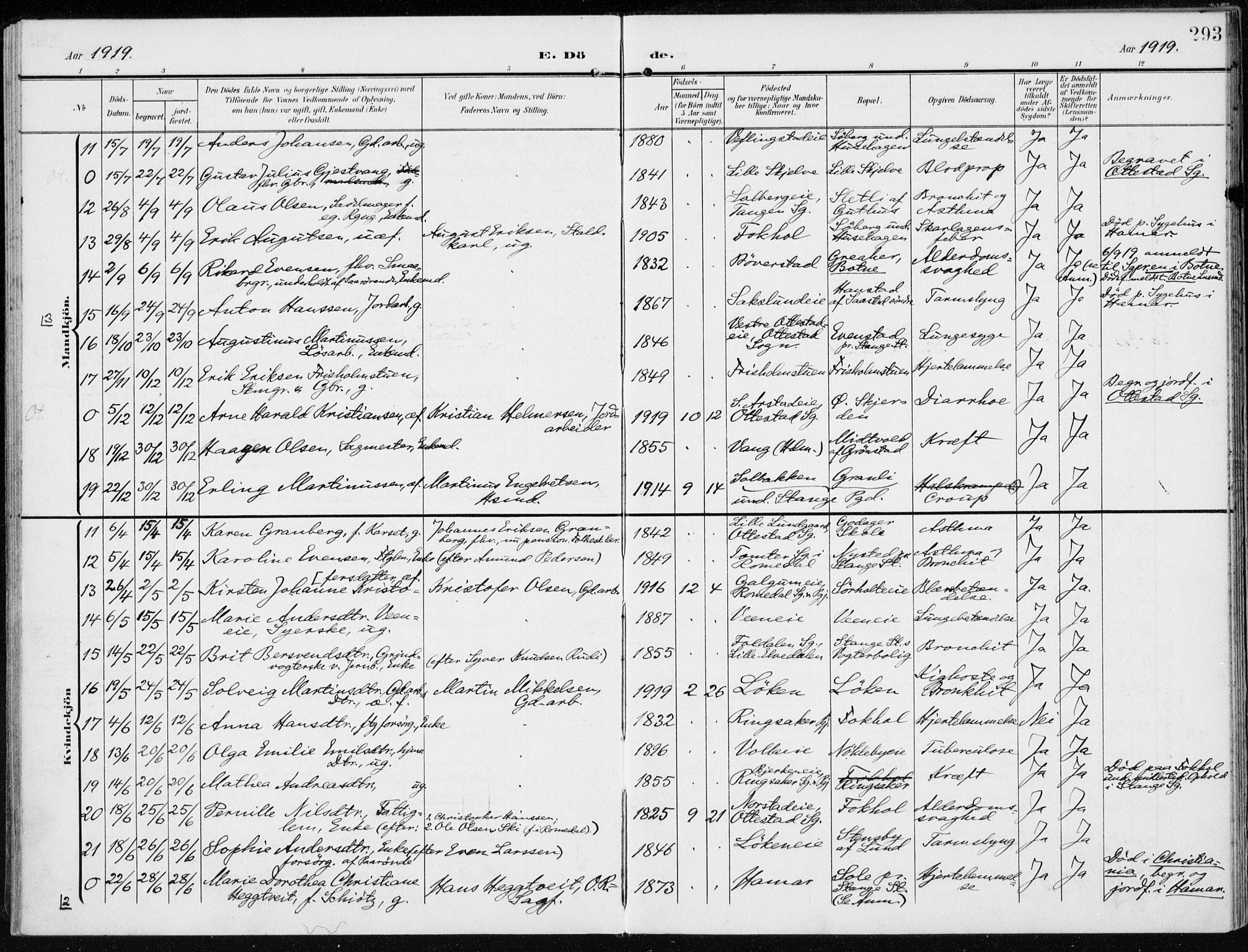 Stange prestekontor, AV/SAH-PREST-002/K/L0024: Parish register (official) no. 24, 1906-1922, p. 293