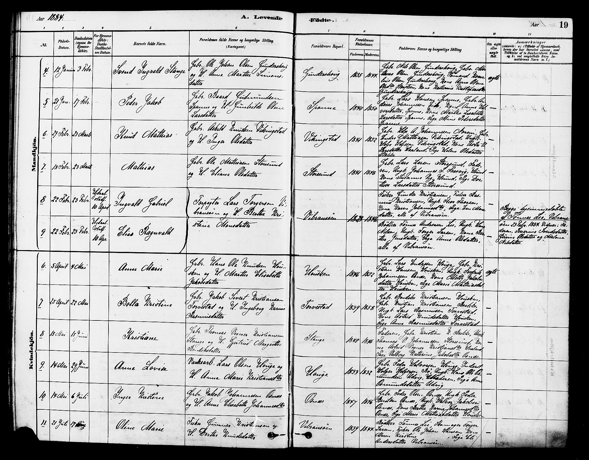 Torvastad sokneprestkontor, AV/SAST-A -101857/H/Ha/Haa/L0014: Parish register (official) no. A 13, 1879-1888, p. 19