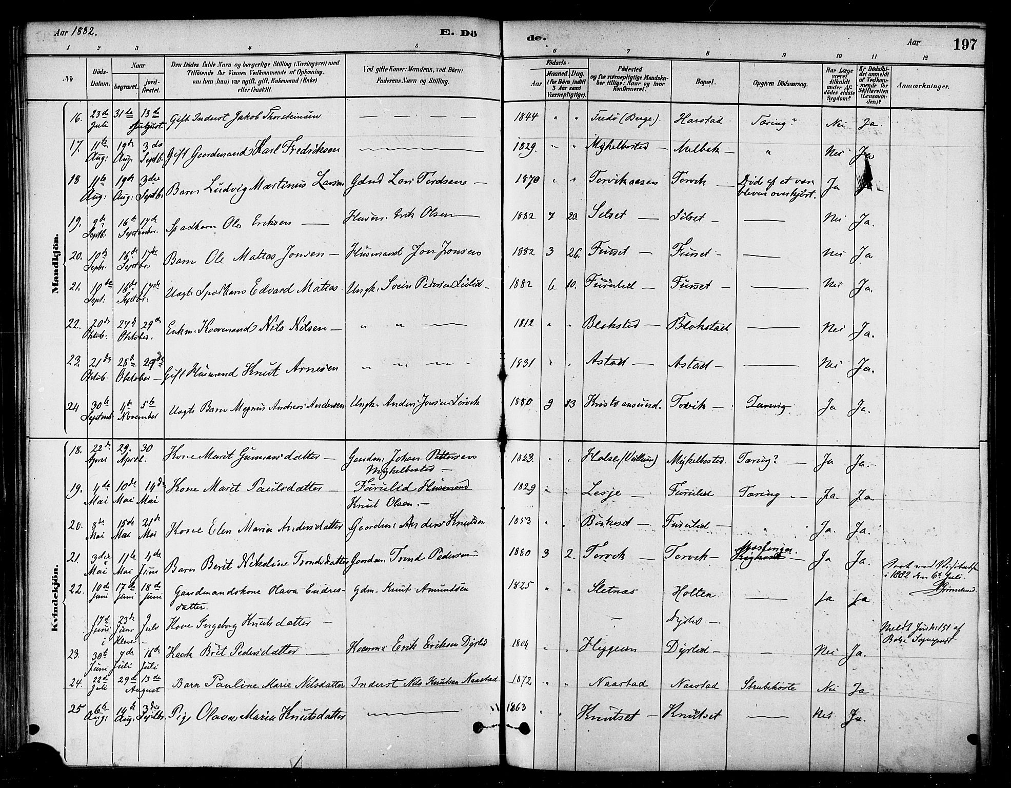 Ministerialprotokoller, klokkerbøker og fødselsregistre - Møre og Romsdal, AV/SAT-A-1454/584/L0967: Parish register (official) no. 584A07, 1879-1894, p. 197