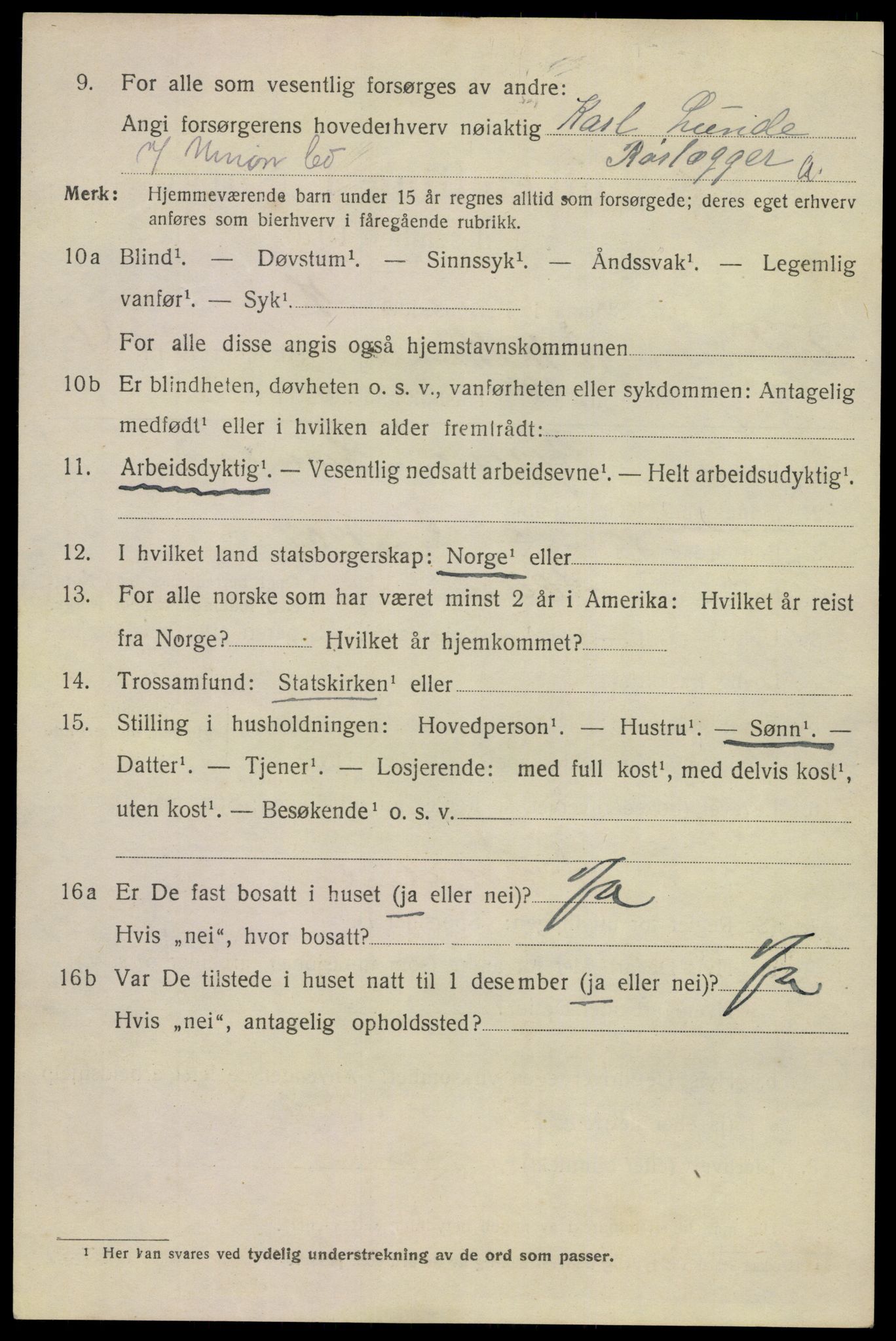 SAKO, 1920 census for Skien, 1920, p. 16925