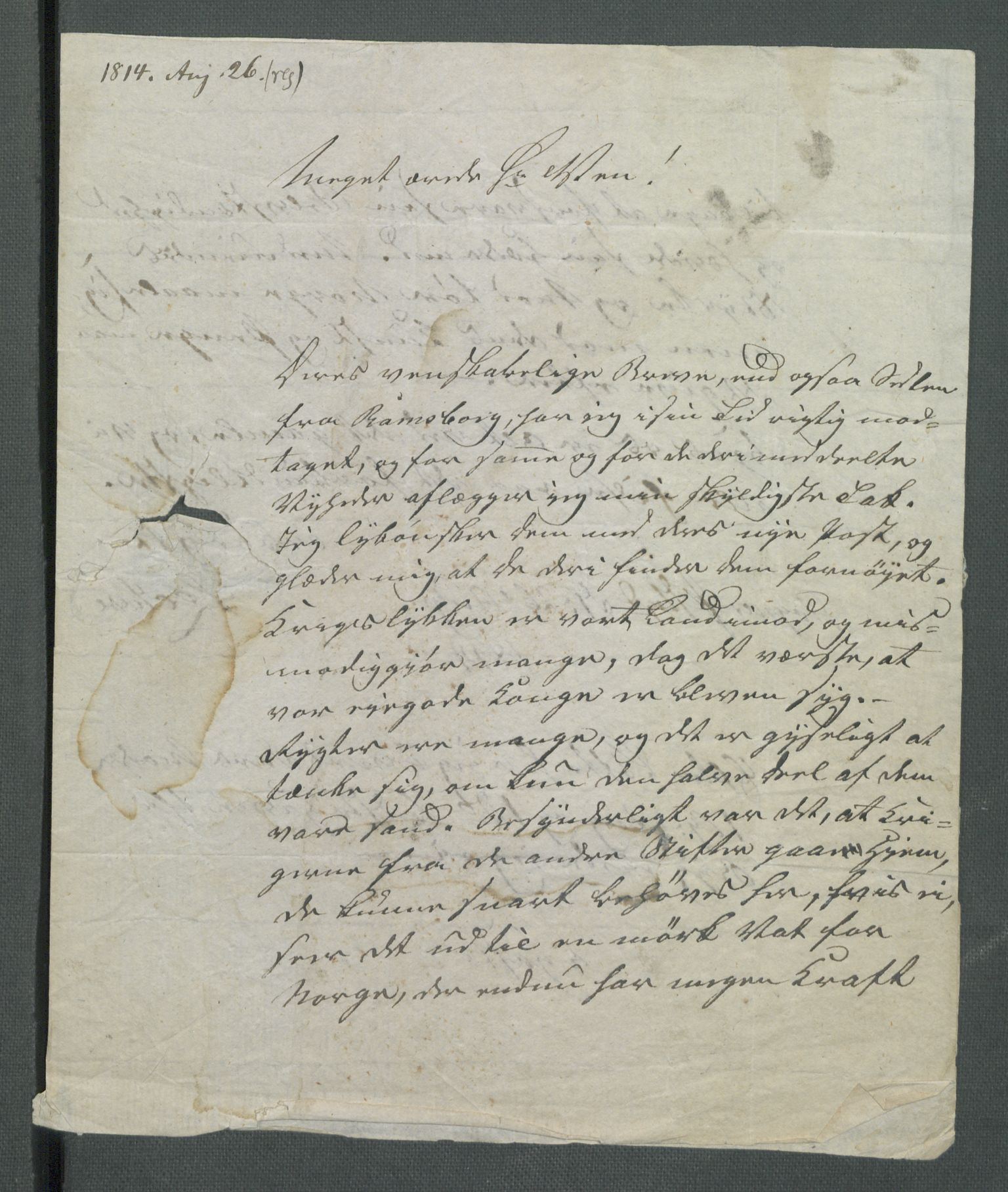 Forskjellige samlinger, Historisk-kronologisk samling, AV/RA-EA-4029/G/Ga/L0009A: Historisk-kronologisk samling. Dokumenter fra januar og ut september 1814. , 1814, p. 299