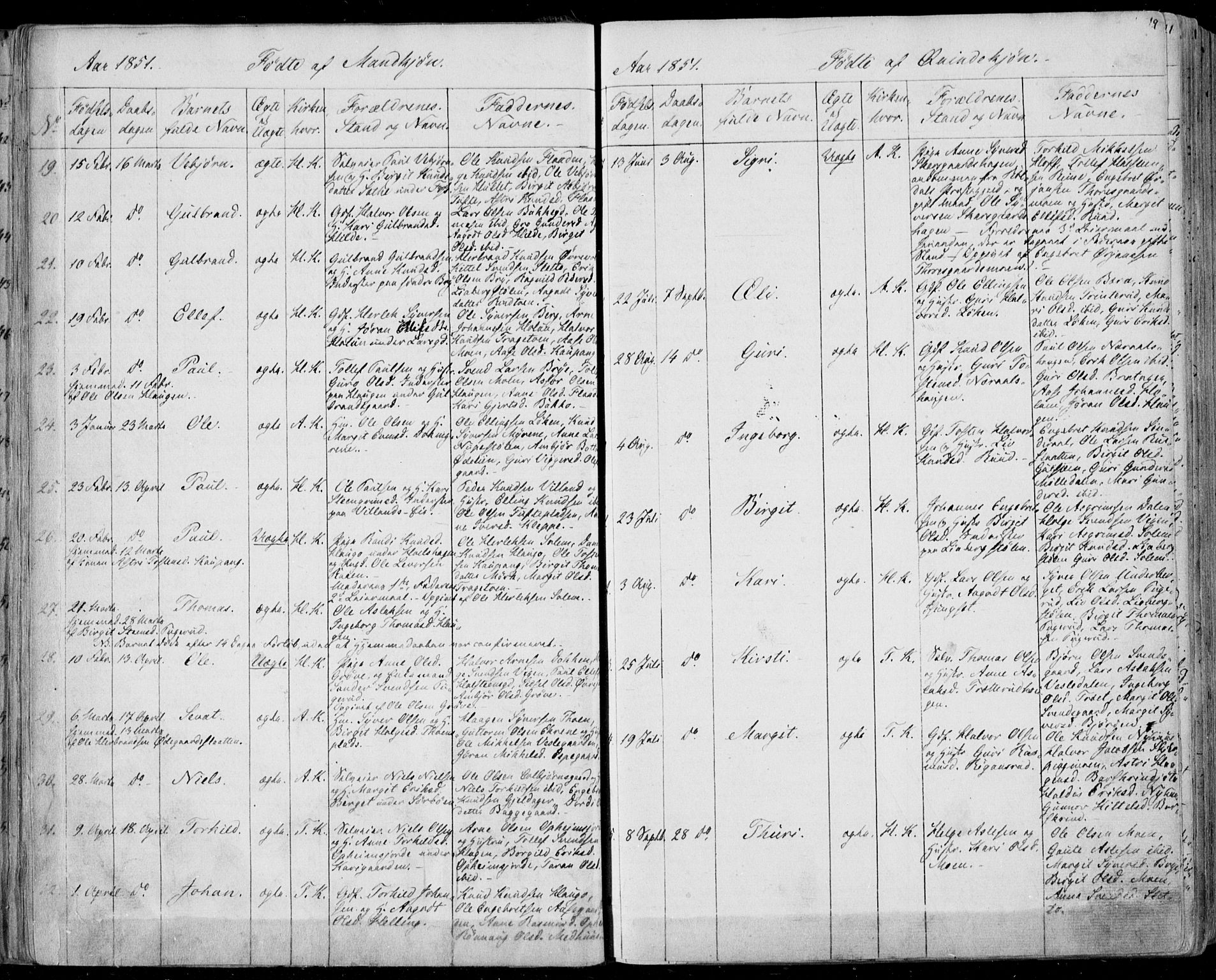 Ål kirkebøker, AV/SAKO-A-249/F/Fa/L0006: Parish register (official) no. I 6, 1849-1864, p. 19