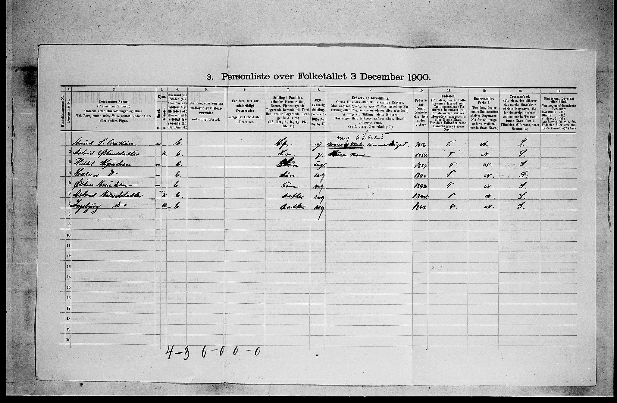 SAKO, 1900 census for Tinn, 1900, p. 293