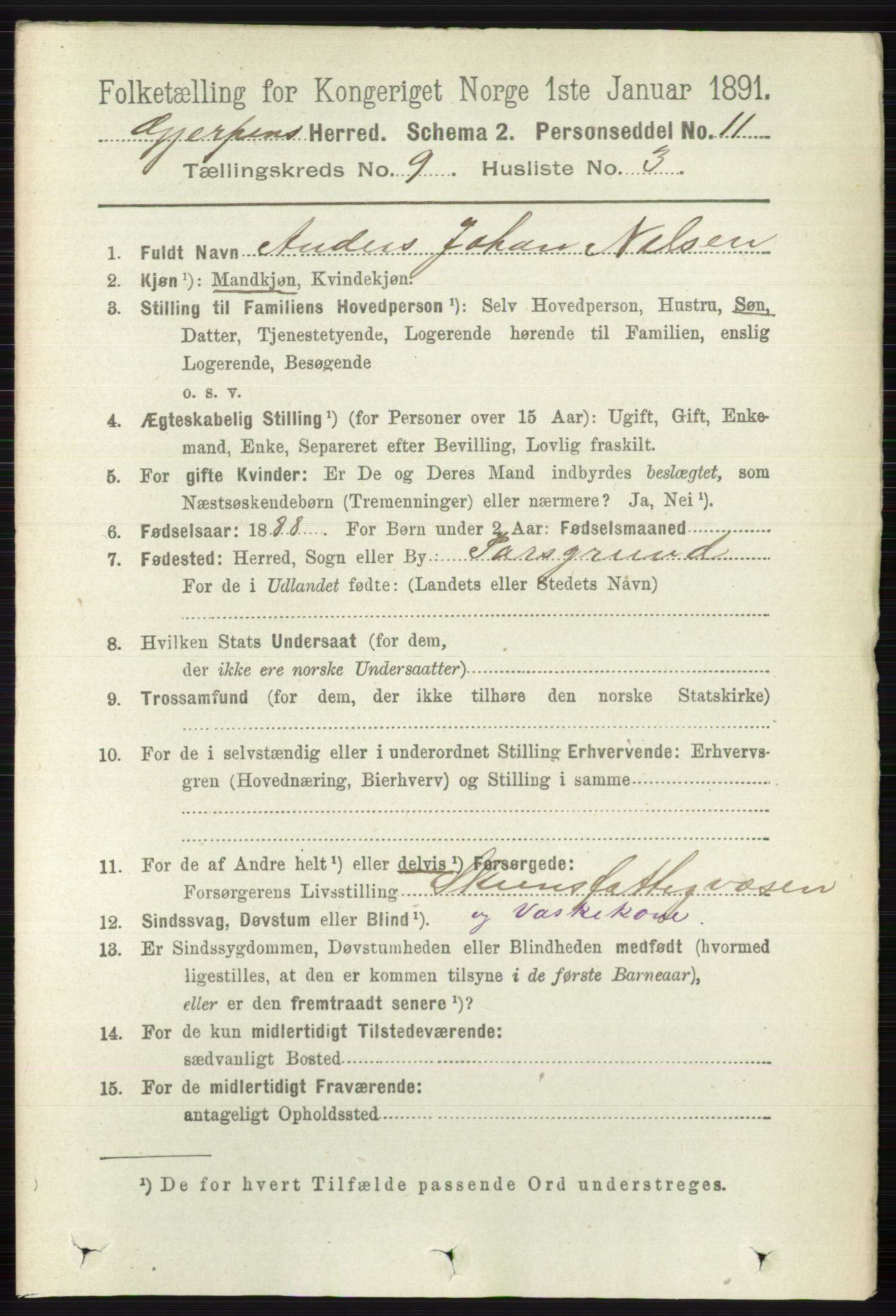 RA, 1891 census for 0812 Gjerpen, 1891, p. 4999