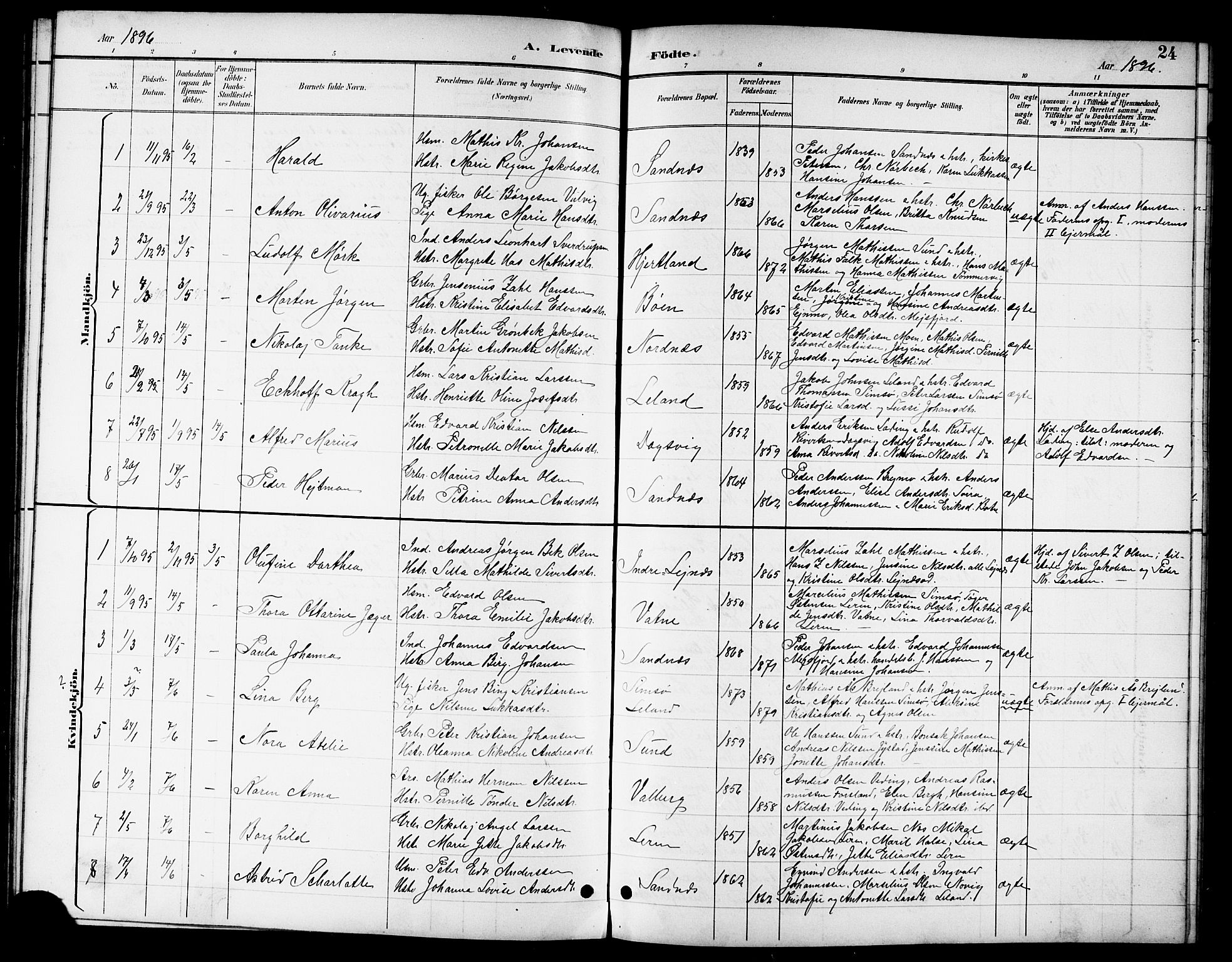 Ministerialprotokoller, klokkerbøker og fødselsregistre - Nordland, SAT/A-1459/831/L0478: Parish register (copy) no. 831C05, 1892-1909, p. 24
