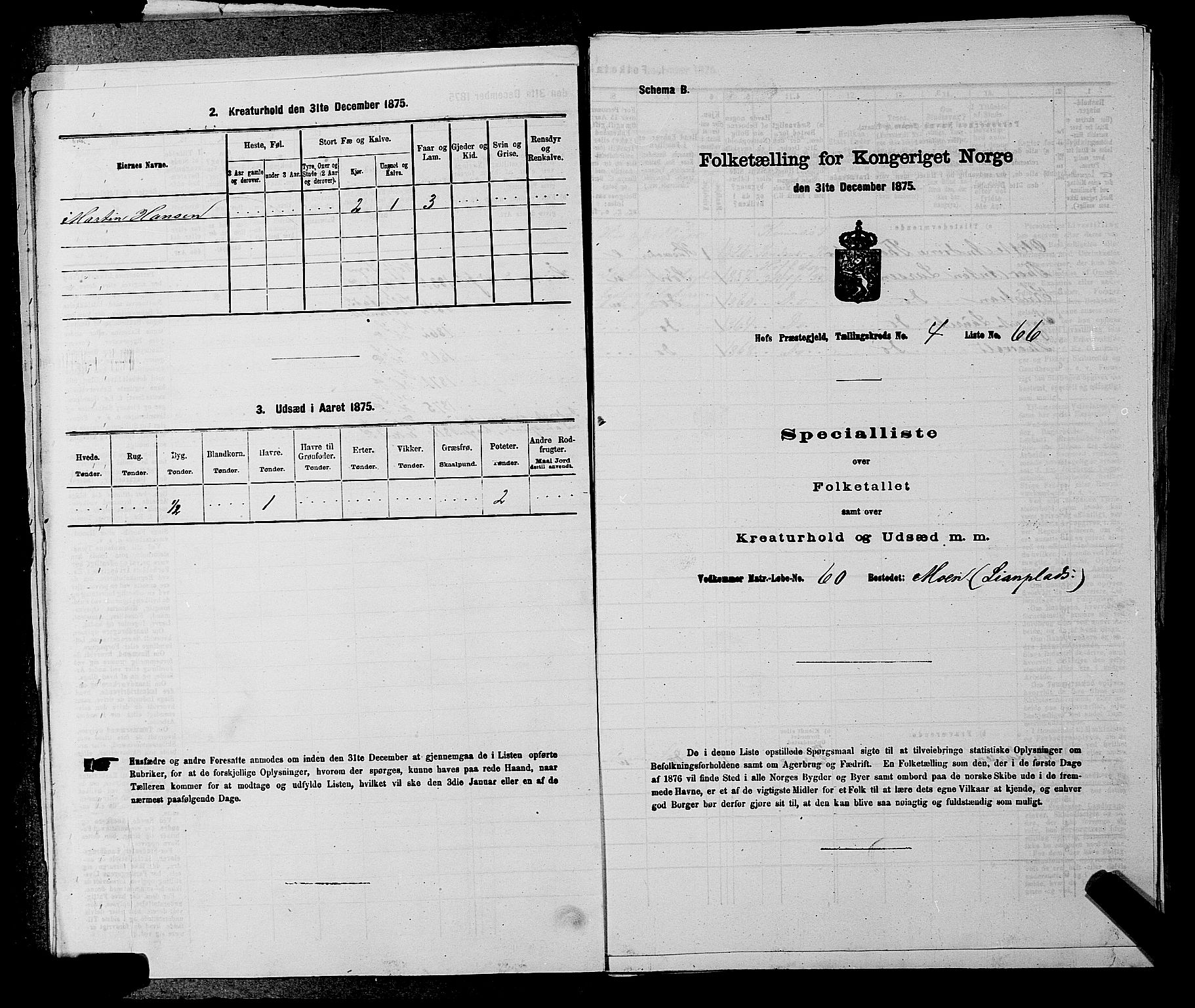 SAKO, 1875 census for 0714P Hof, 1875, p. 493