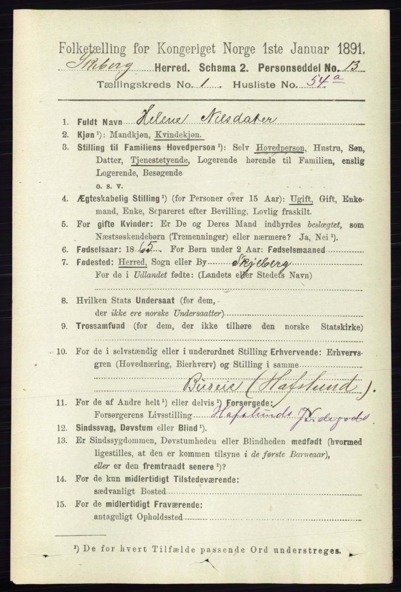 RA, 1891 census for 0115 Skjeberg, 1891, p. 796