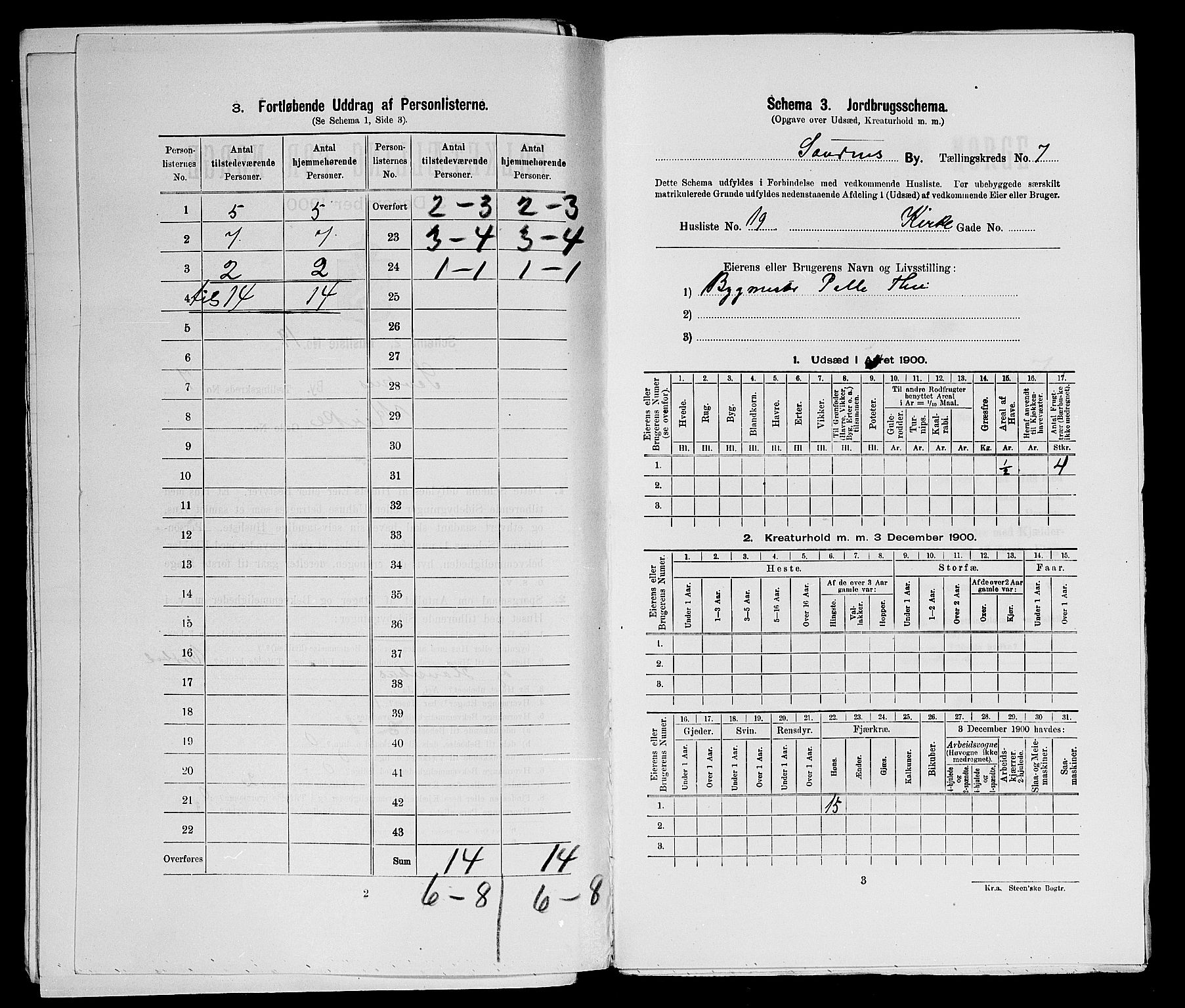 SAST, 1900 census for Sandnes, 1900, p. 960
