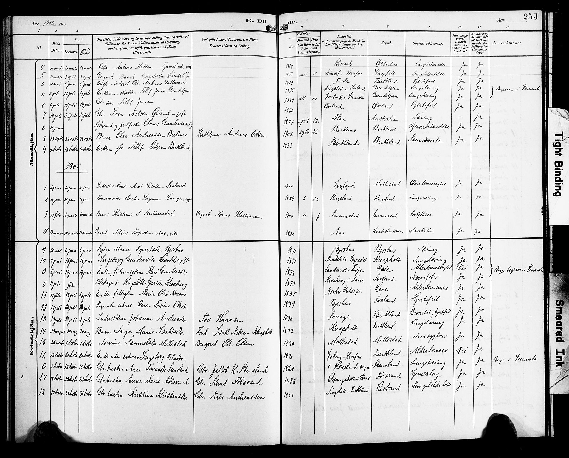 Birkenes sokneprestkontor, SAK/1111-0004/F/Fb/L0004: Parish register (copy) no. B 4, 1893-1930, p. 253