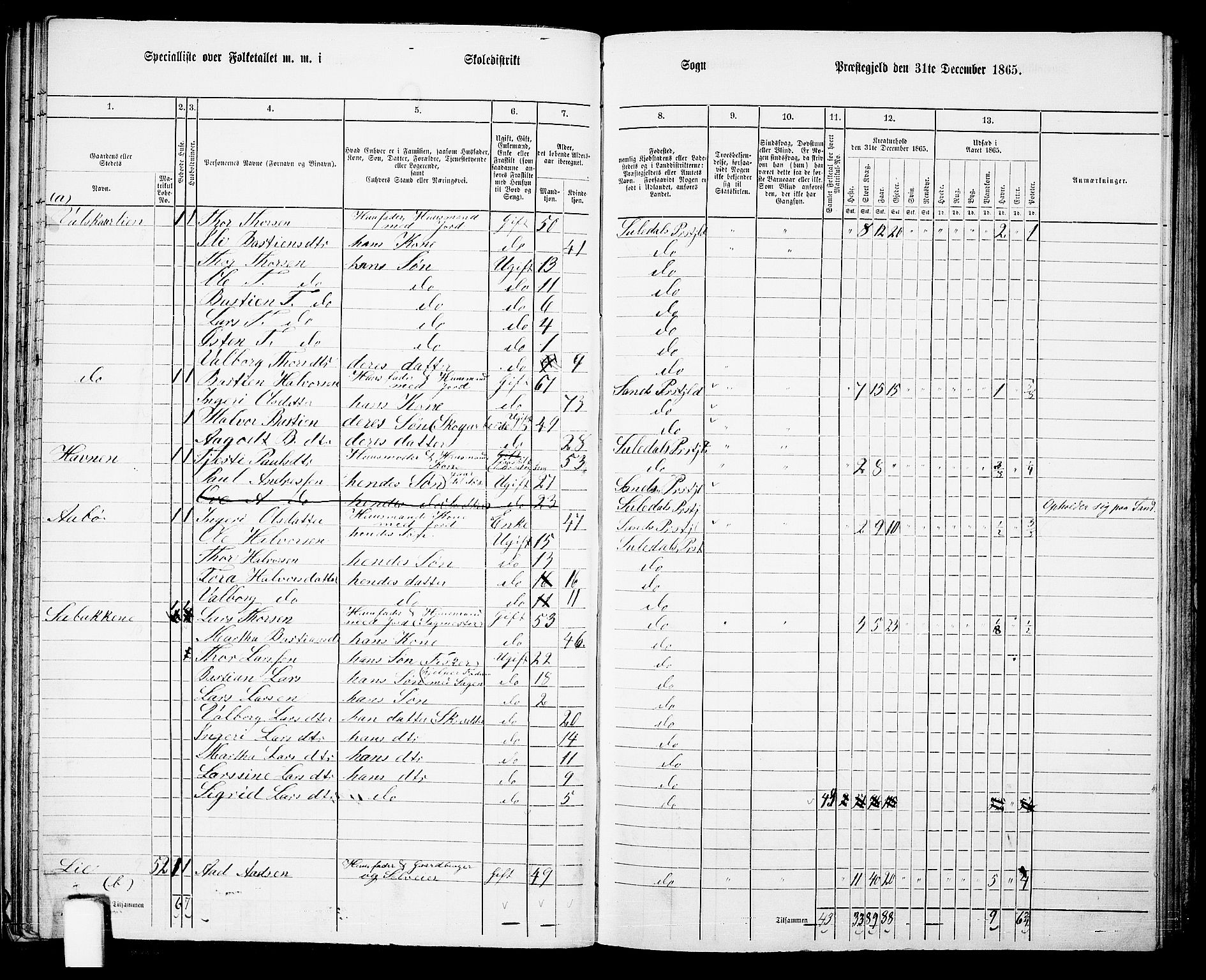 RA, 1865 census for Suldal, 1865, p. 40