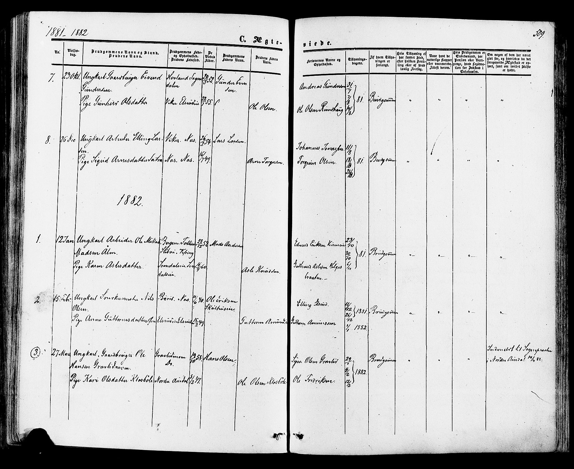 Ådal kirkebøker, SAKO/A-248/F/Fa/L0001: Parish register (official) no. I 1, 1857-1883, p. 509