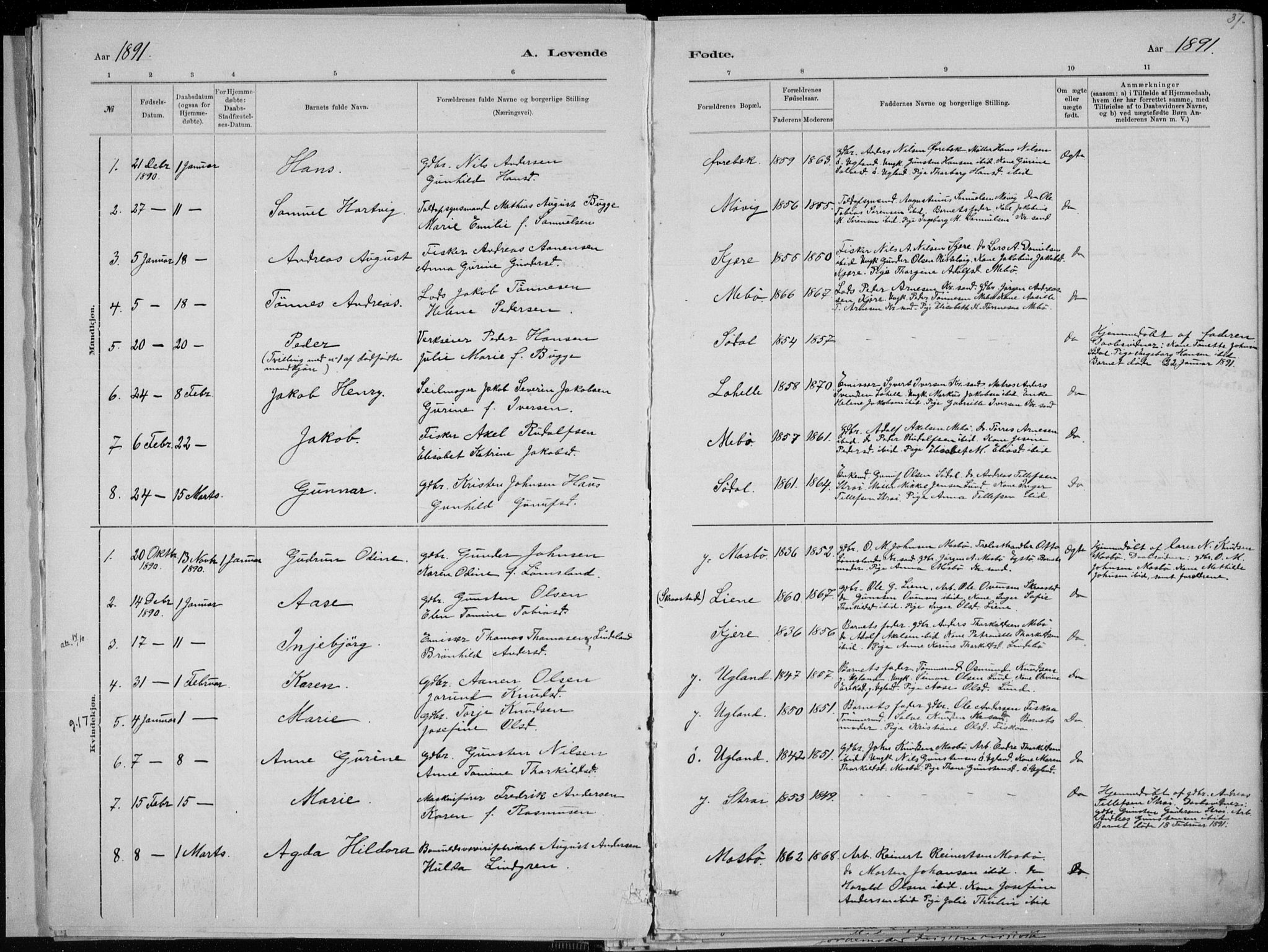 Oddernes sokneprestkontor, AV/SAK-1111-0033/F/Fa/Faa/L0009: Parish register (official) no. A 9, 1884-1896, p. 37