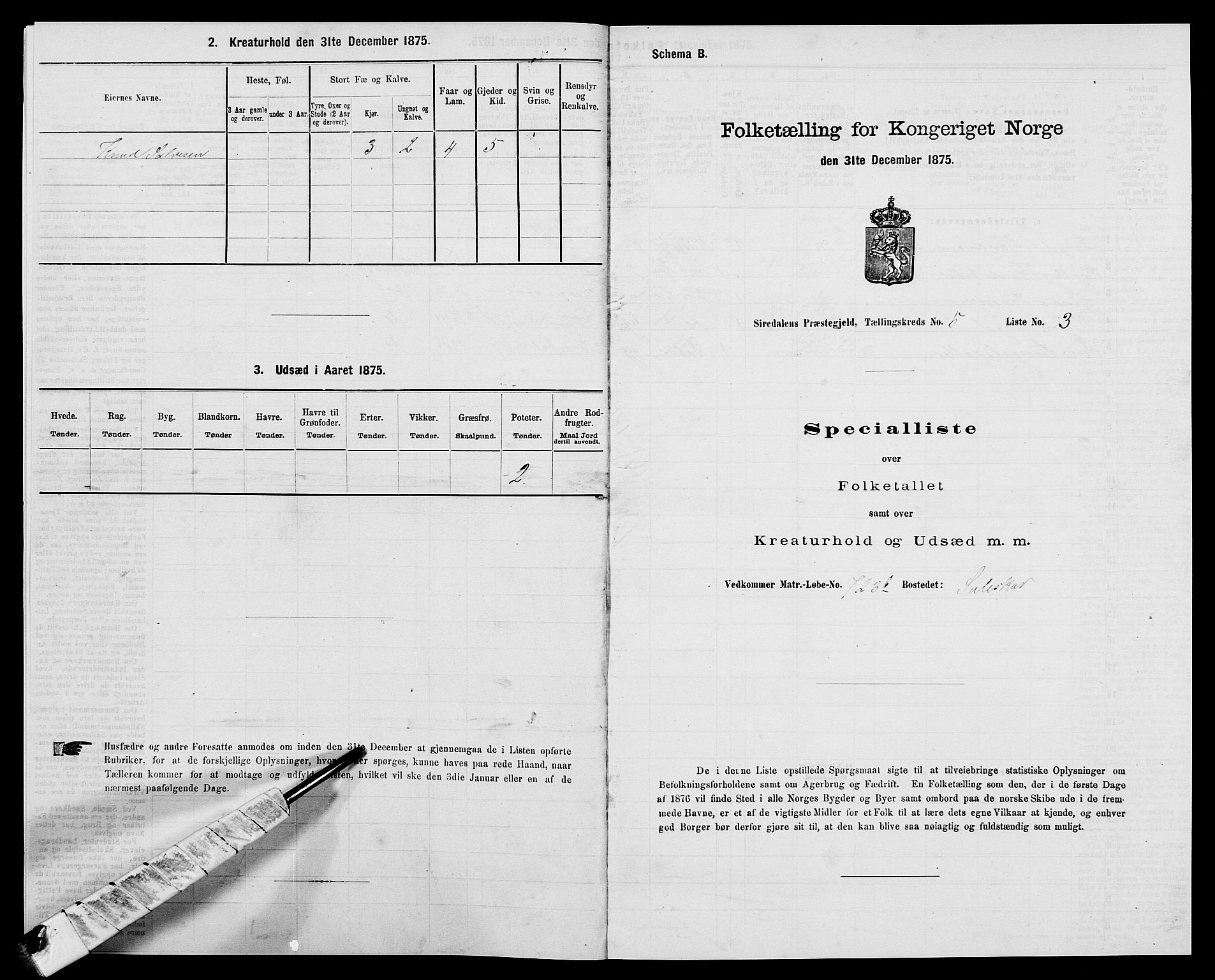 SAK, 1875 census for 1046P Sirdal, 1875, p. 411