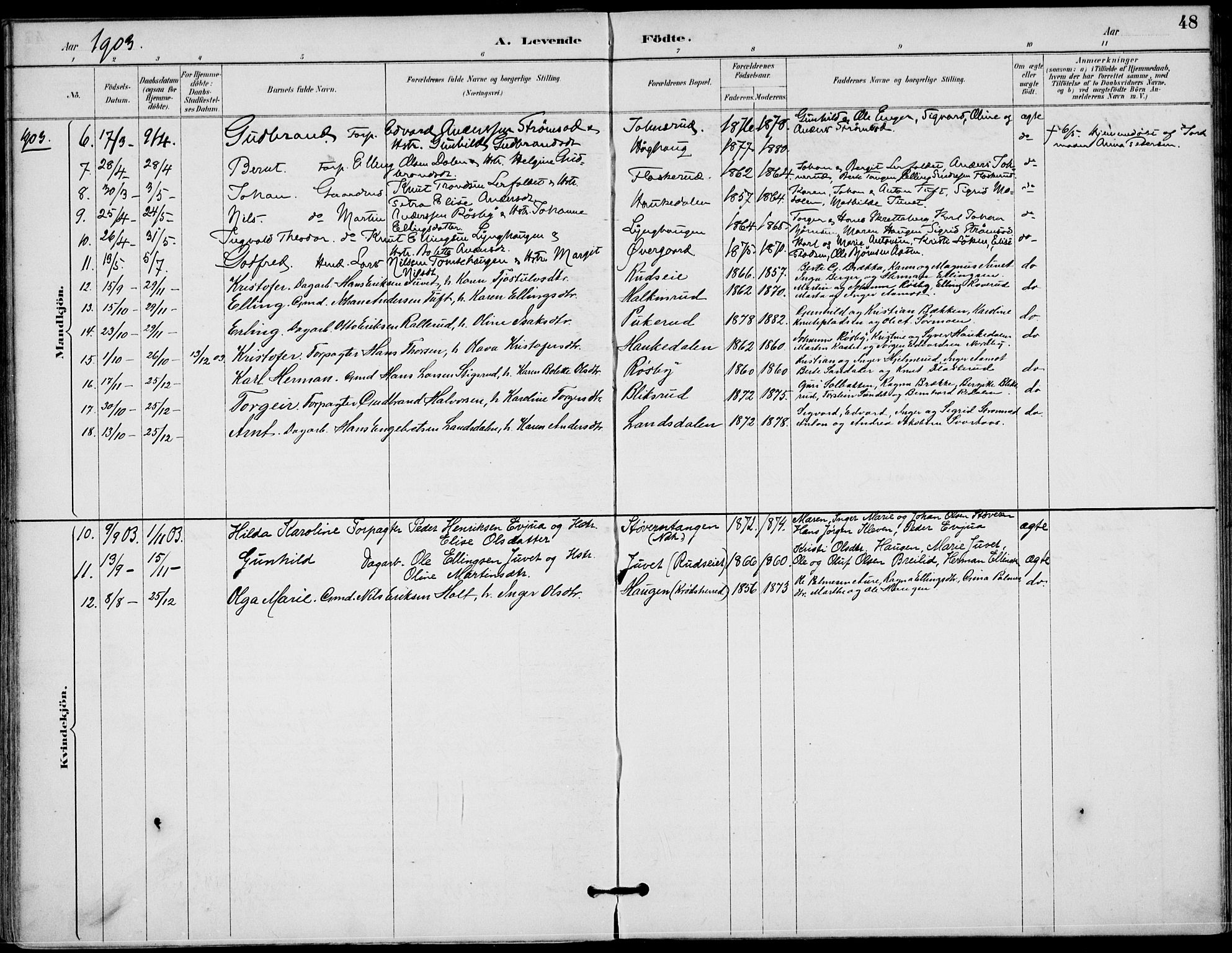 Lunder kirkebøker, AV/SAKO-A-629/F/Fa/L0001: Parish register (official) no. I 1, 1885-1912, p. 48