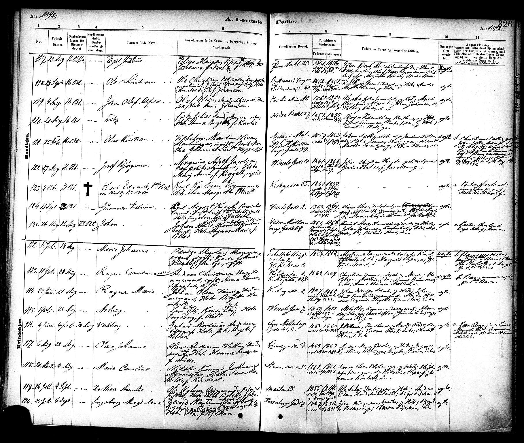 Ministerialprotokoller, klokkerbøker og fødselsregistre - Sør-Trøndelag, AV/SAT-A-1456/604/L0188: Parish register (official) no. 604A09, 1878-1892, p. 326