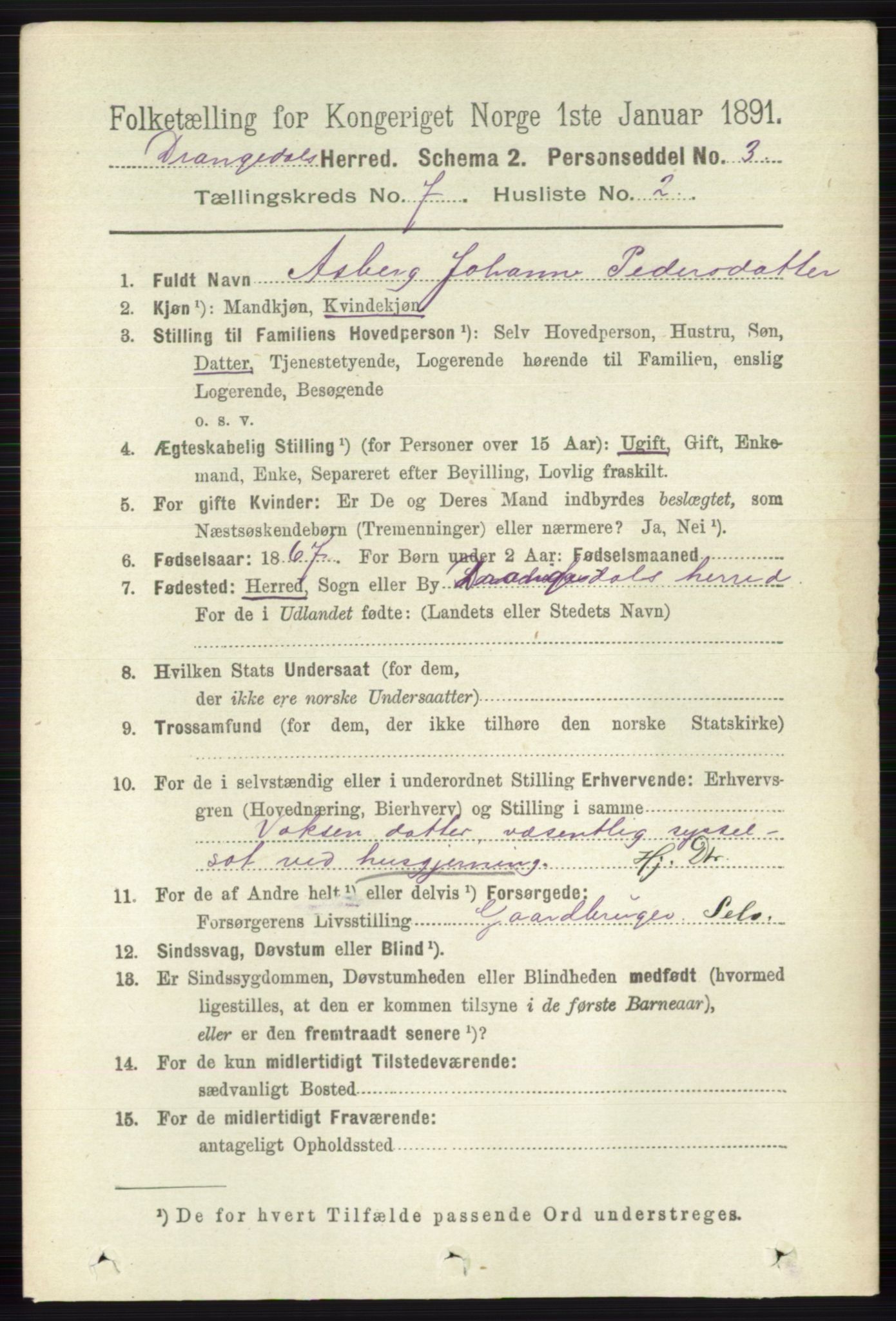 RA, 1891 census for 0817 Drangedal, 1891, p. 2409