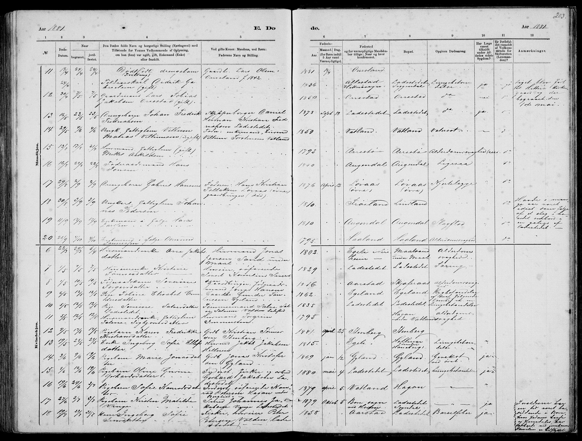 Sokndal sokneprestkontor, AV/SAST-A-101808: Parish register (copy) no. B 4, 1880-1891, p. 203