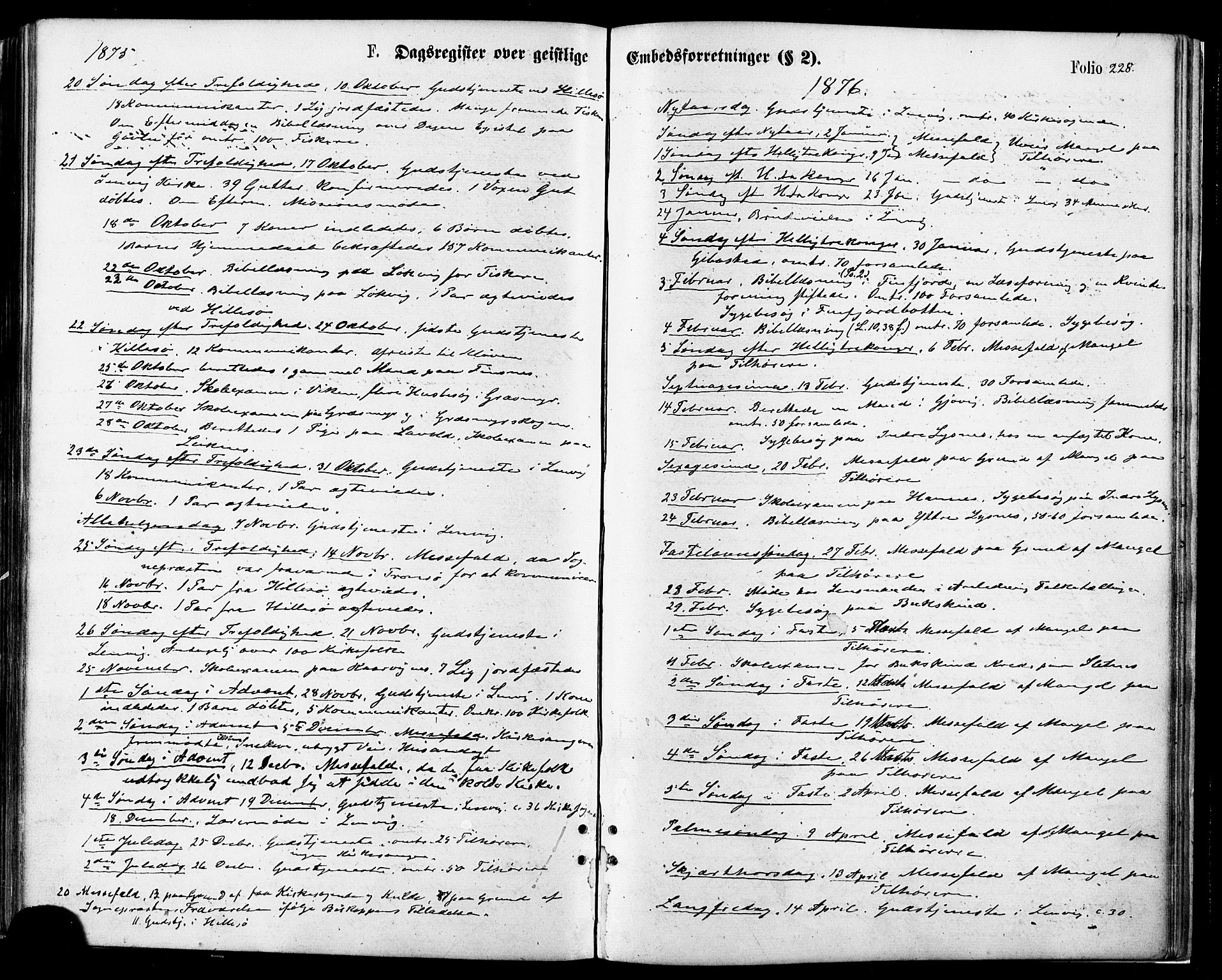 Lenvik sokneprestembete, SATØ/S-1310/H/Ha/Haa/L0010kirke: Parish register (official) no. 10, 1873-1880, p. 228