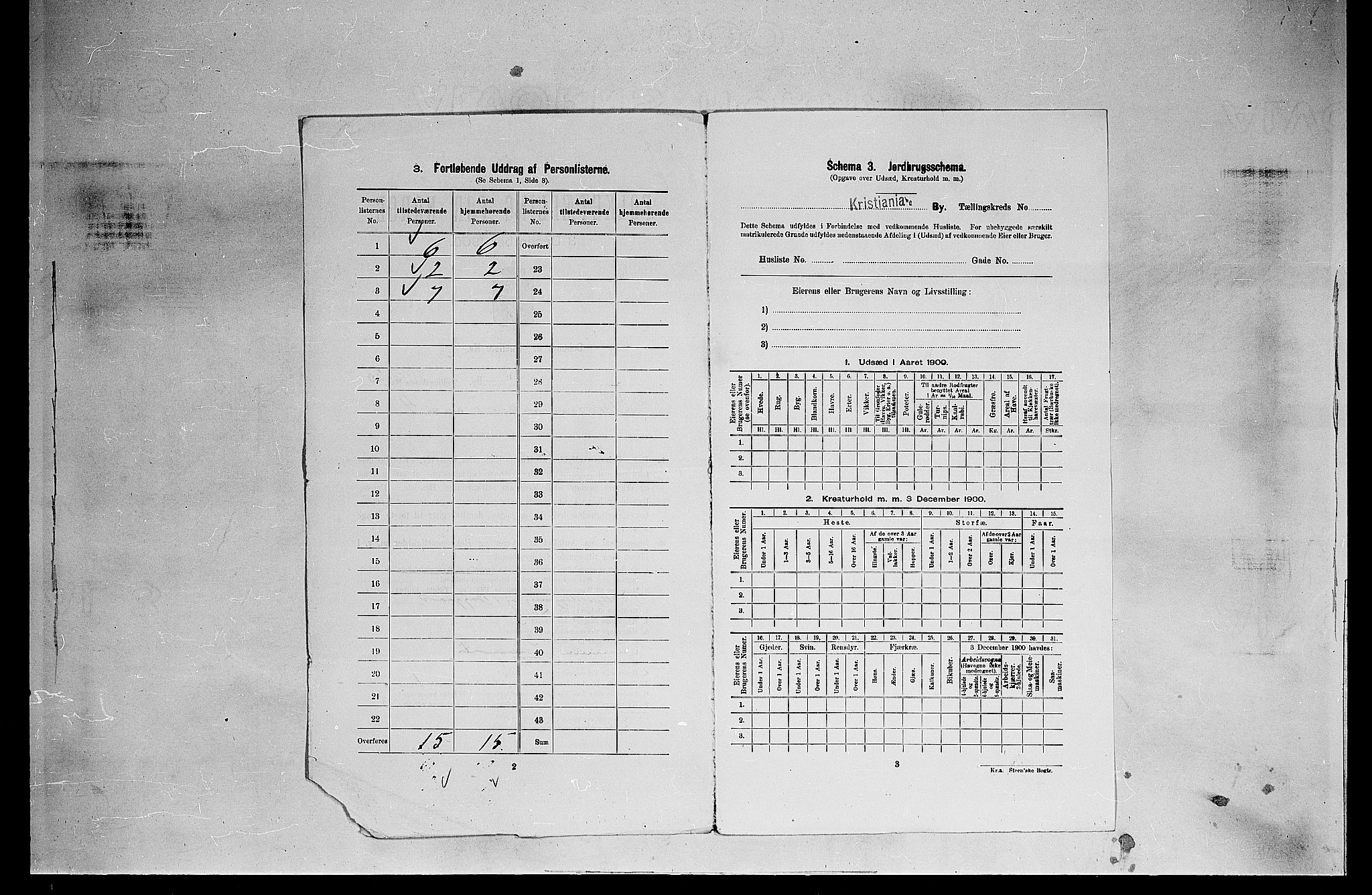 SAO, 1900 census for Kristiania, 1900, p. 17133