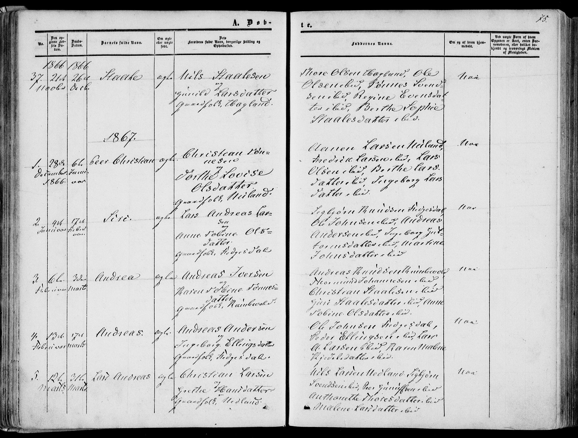 Bakke sokneprestkontor, SAK/1111-0002/F/Fa/Fab/L0002: Parish register (official) no. A 2, 1855-1884, p. 75