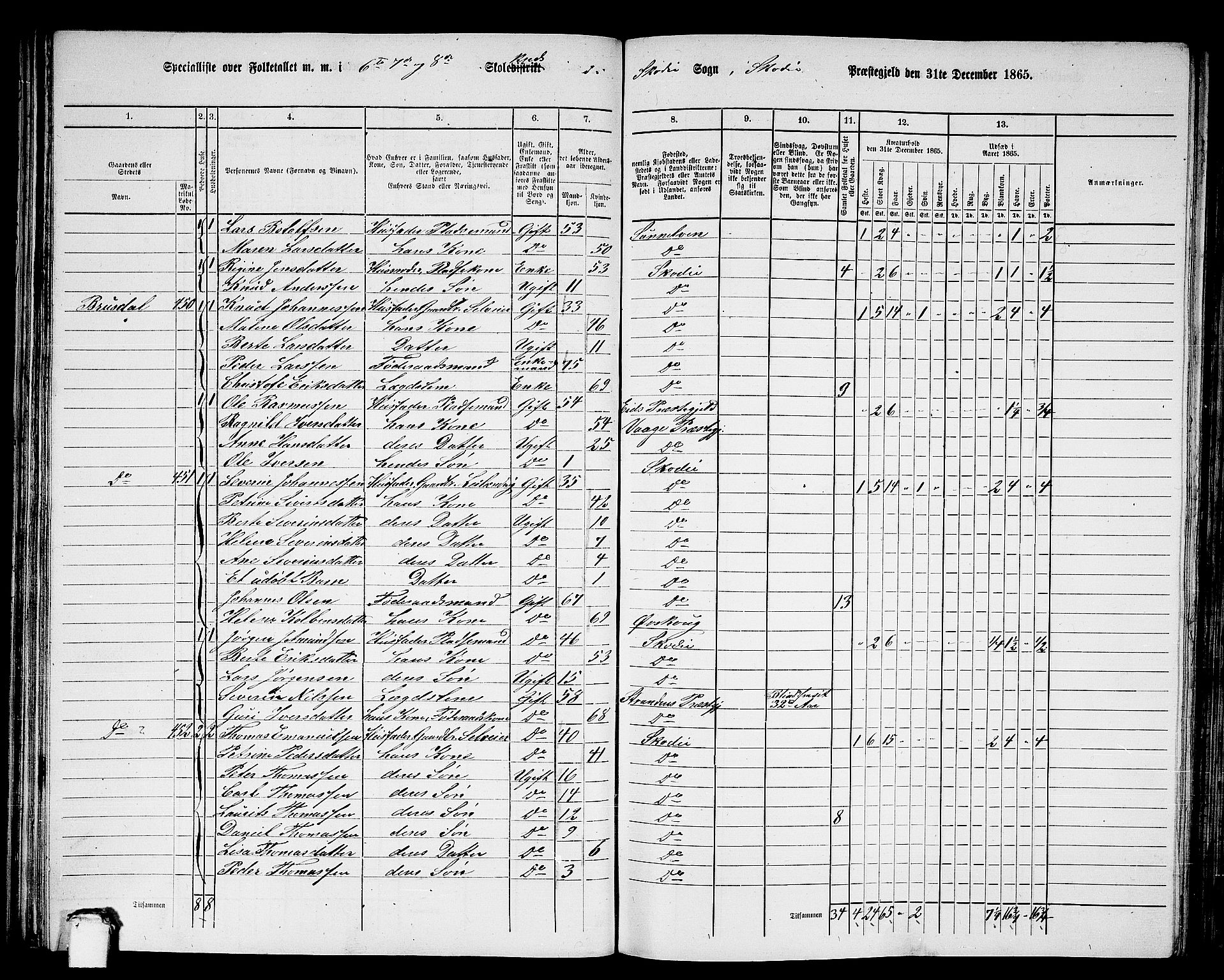 RA, 1865 census for Skodje, 1865, p. 55