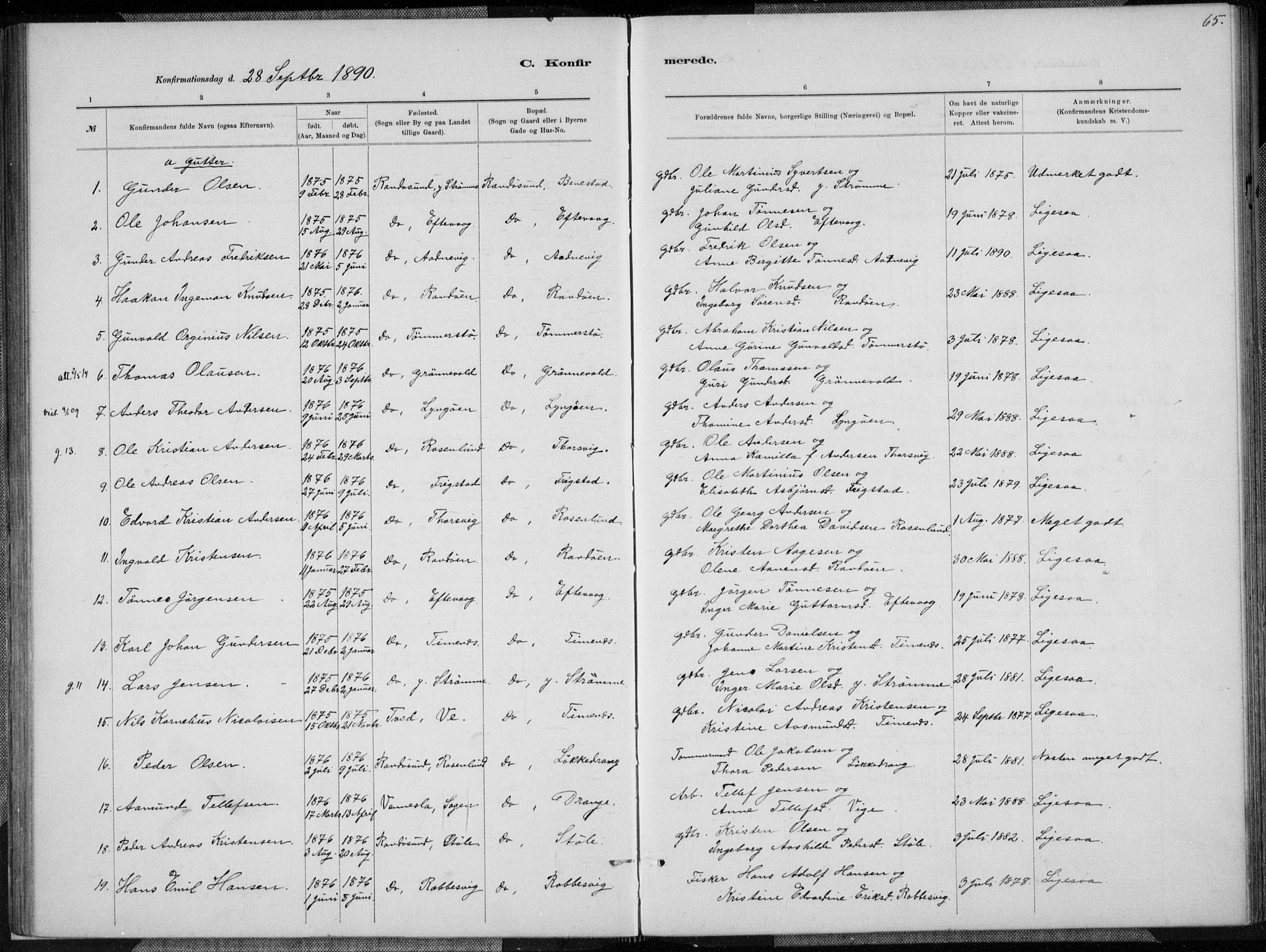 Oddernes sokneprestkontor, AV/SAK-1111-0033/F/Fa/Fab/L0002: Parish register (official) no. A 2, 1884-1903, p. 65