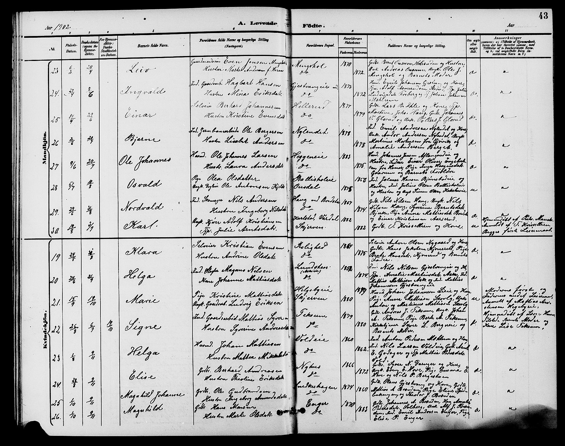 Nes prestekontor, Hedmark, AV/SAH-PREST-020/L/La/L0007: Parish register (copy) no. 7, 1892-1912, p. 43