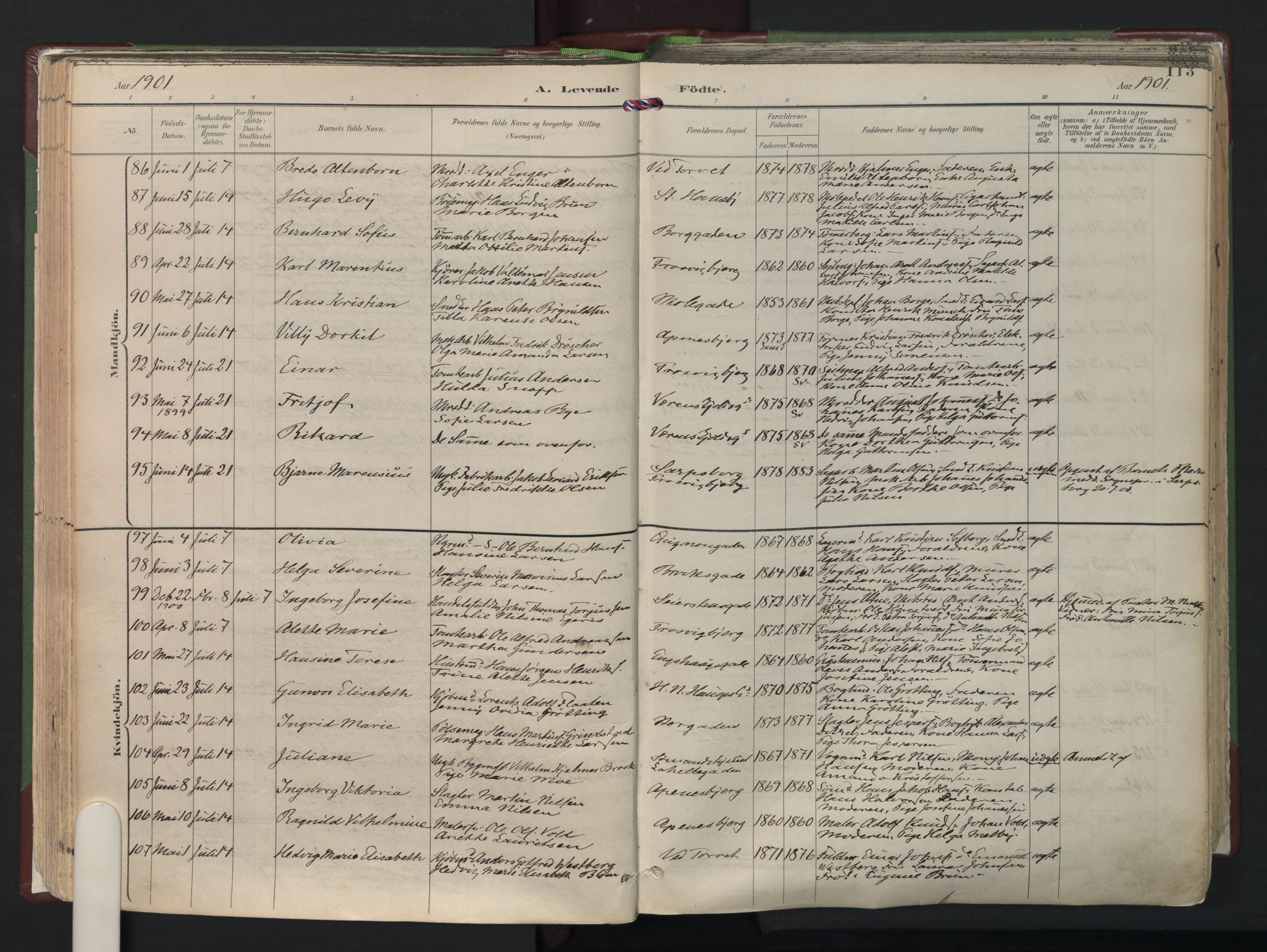 Fredrikstad domkirkes prestekontor Kirkebøker, AV/SAO-A-10906/F/Fa/L0006: Parish register (official) no. 6, 1894-1914, p. 113