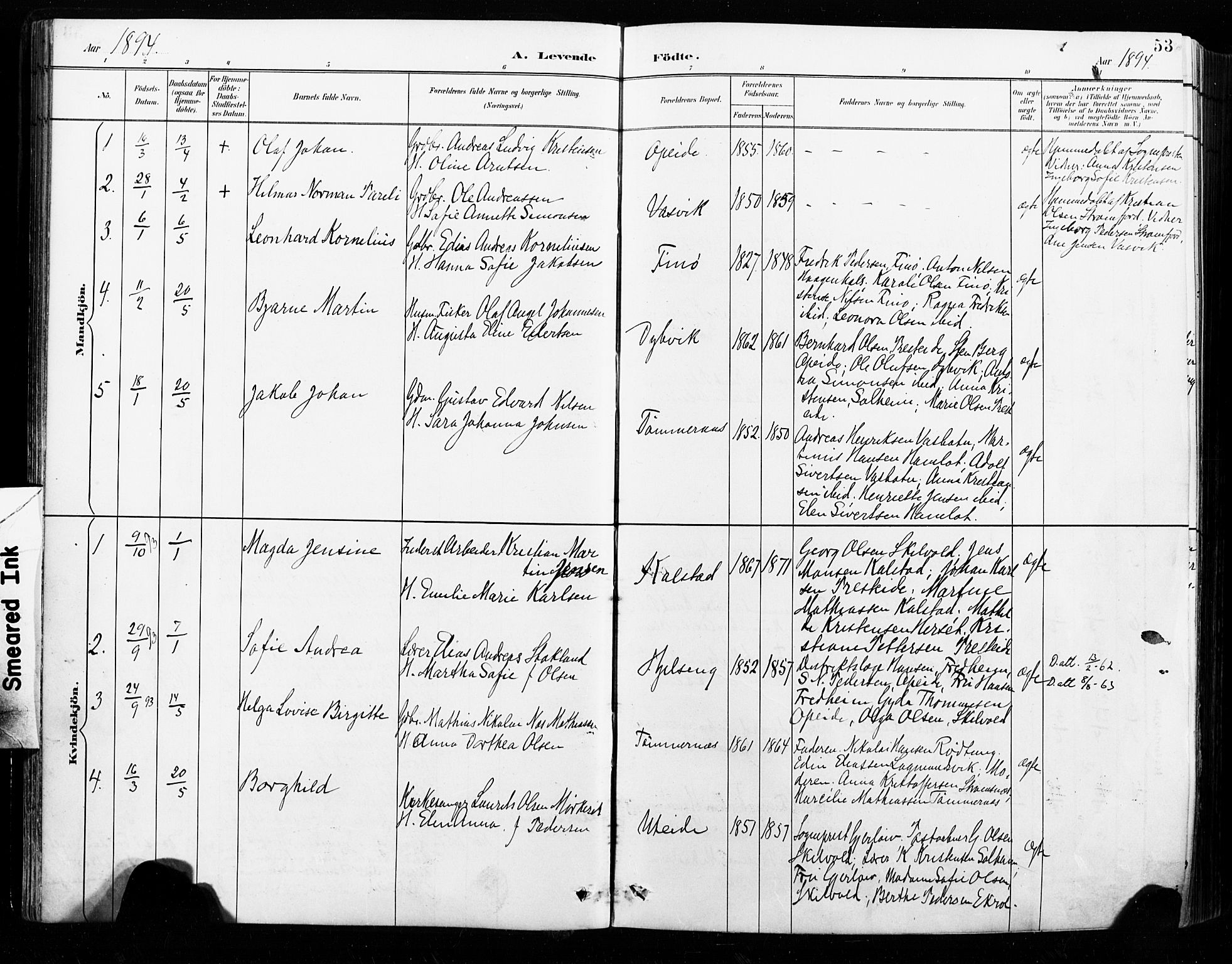 Ministerialprotokoller, klokkerbøker og fødselsregistre - Nordland, SAT/A-1459/859/L0847: Parish register (official) no. 859A07, 1890-1899, p. 53