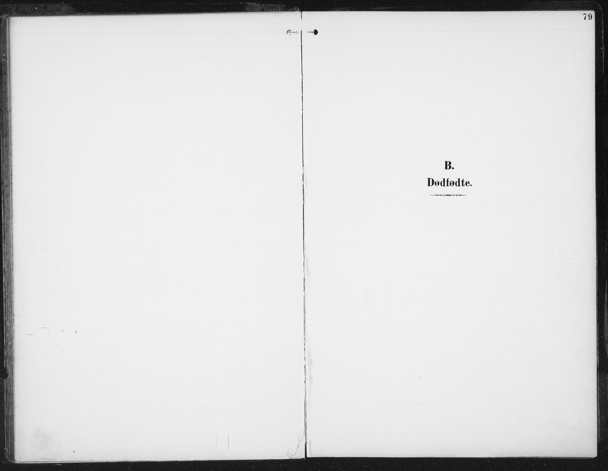 Ministerialprotokoller, klokkerbøker og fødselsregistre - Sør-Trøndelag, SAT/A-1456/674/L0872: Parish register (official) no. 674A04, 1897-1907, p. 79