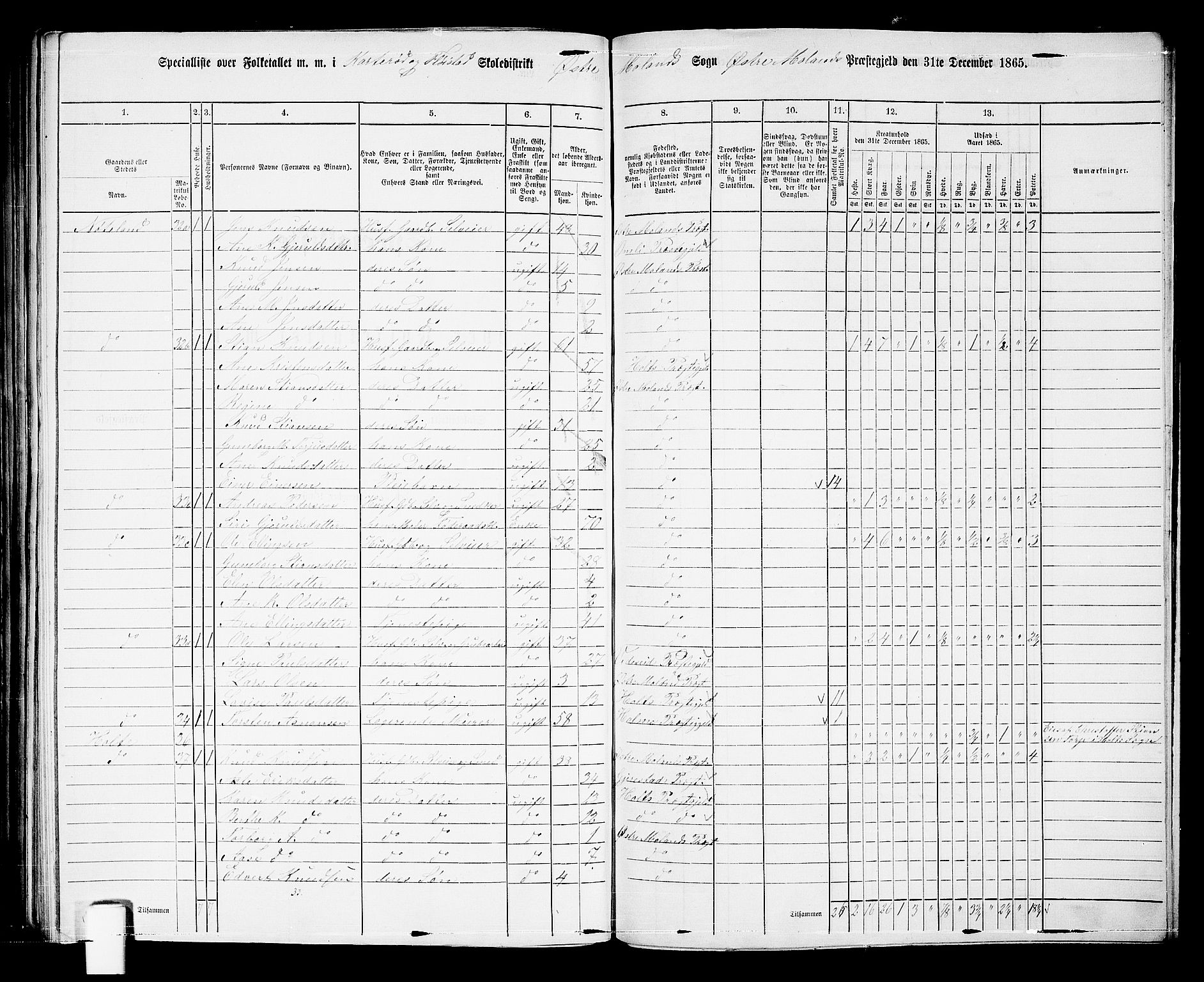 RA, 1865 census for Austre Moland, 1865, p. 295