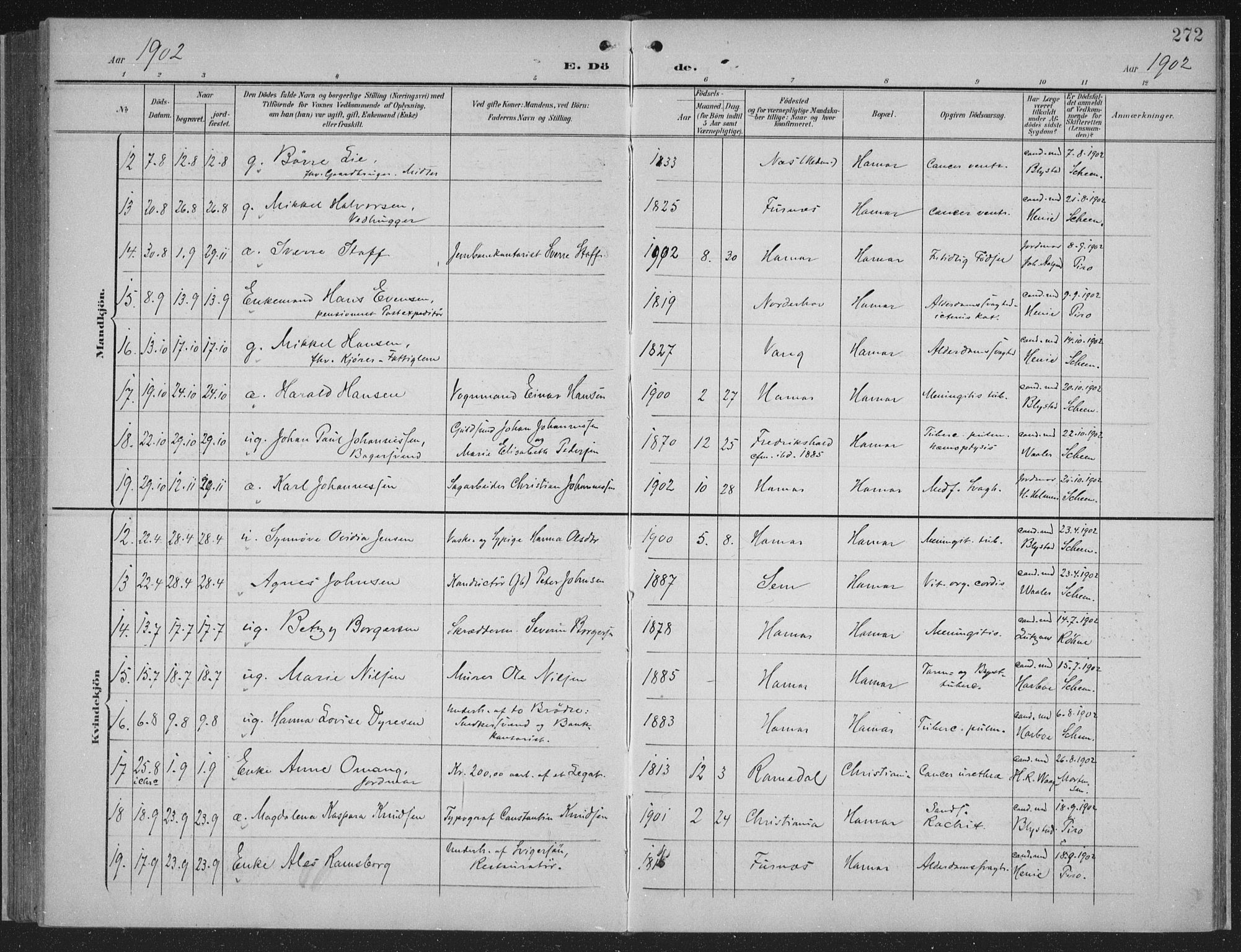 Hamar prestekontor, SAH/DOMPH-002/H/Ha/Haa/L0001: Parish register (official) no. 1, 1900-1914, p. 272