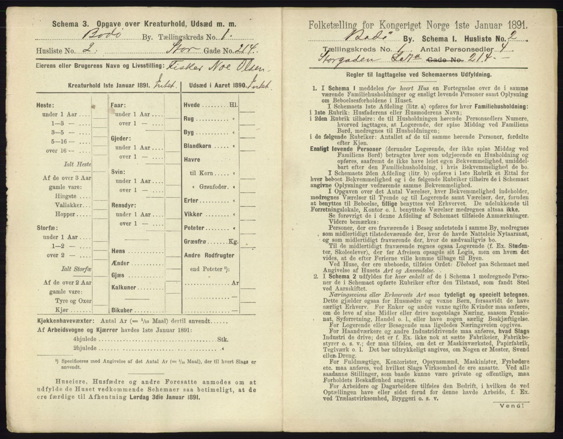 RA, 1891 census for 1804 Bodø, 1891, p. 19