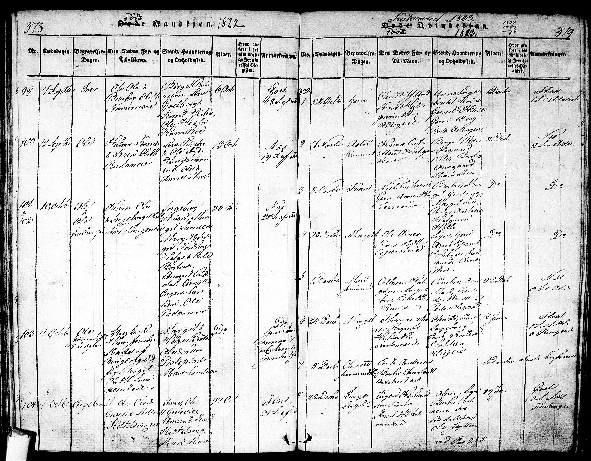 Nes kirkebøker, AV/SAKO-A-236/F/Fa/L0007: Parish register (official) no. 7, 1815-1823, p. 378-379