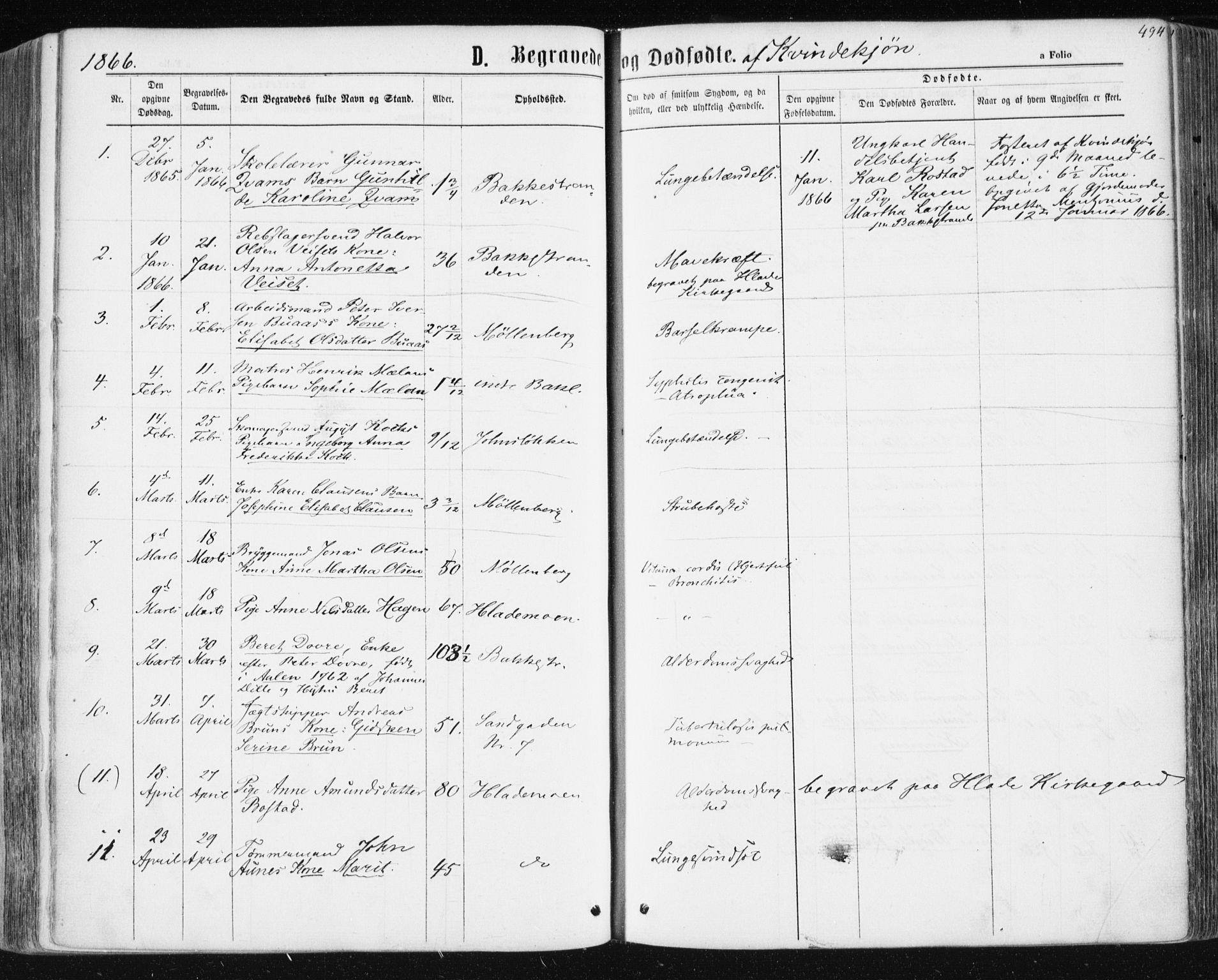 Ministerialprotokoller, klokkerbøker og fødselsregistre - Sør-Trøndelag, SAT/A-1456/604/L0186: Parish register (official) no. 604A07, 1866-1877, p. 494