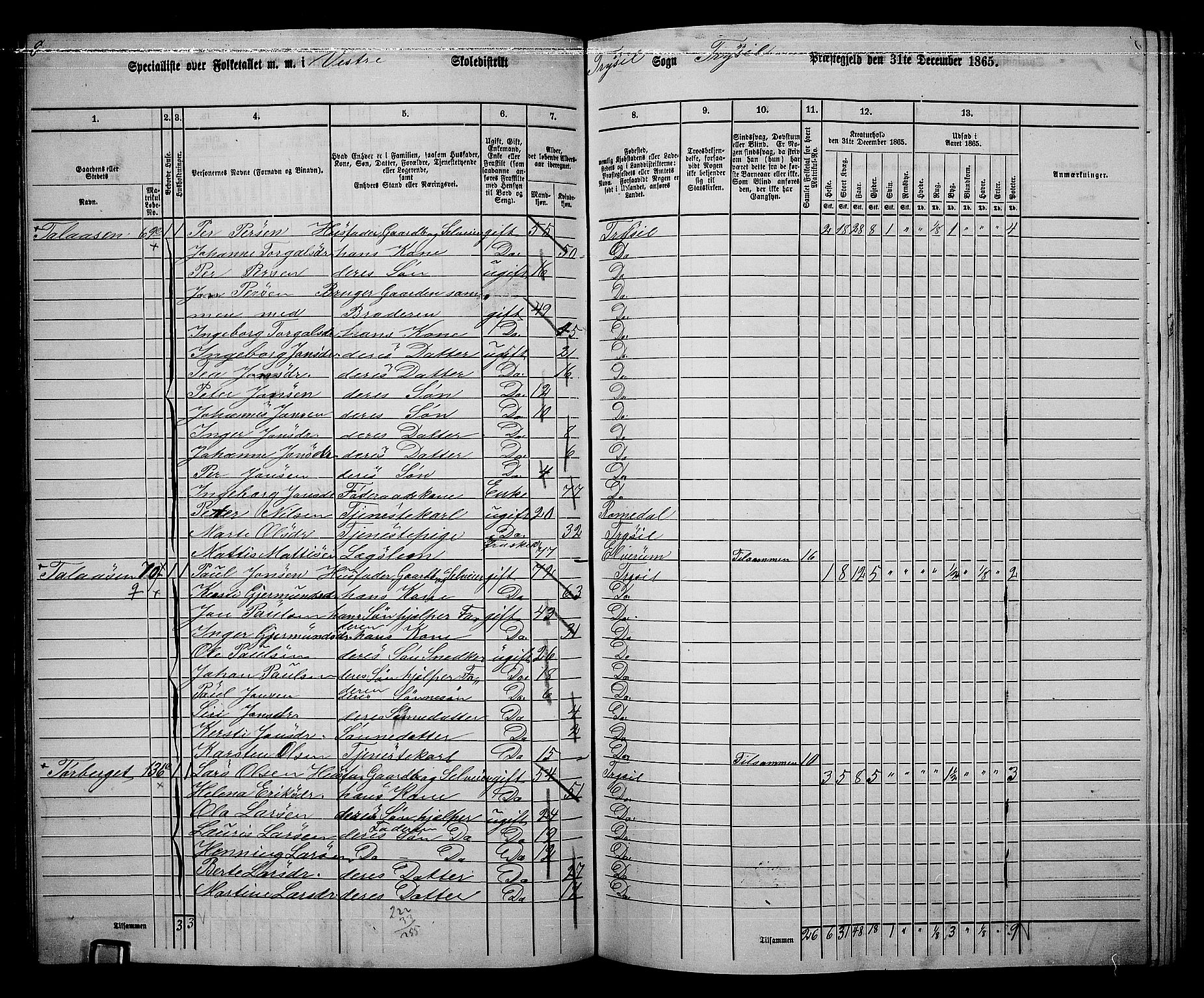 RA, 1865 census for Trysil, 1865, p. 80