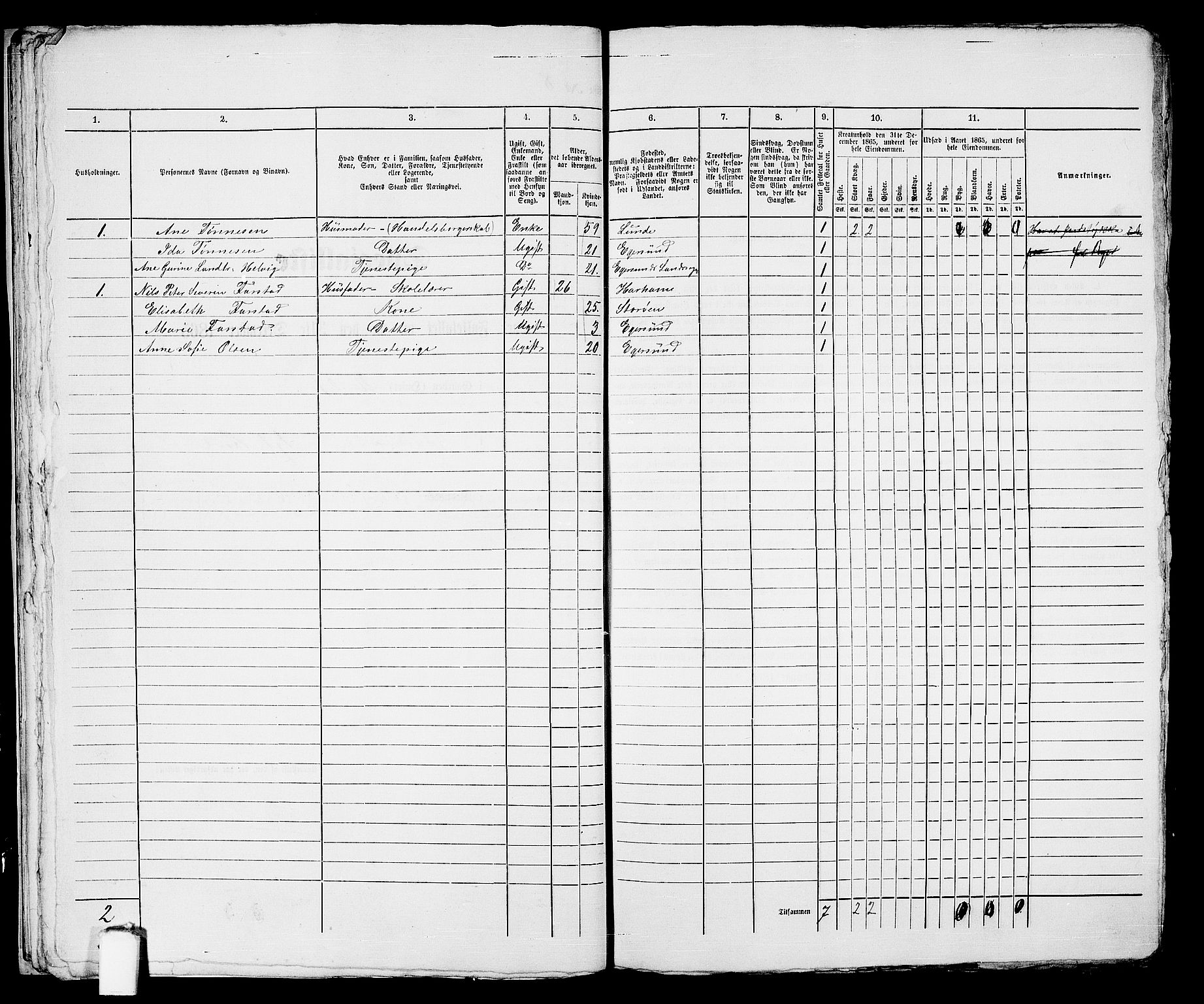 RA, 1865 census for Eigersund parish, Egersund town, 1865, p. 25