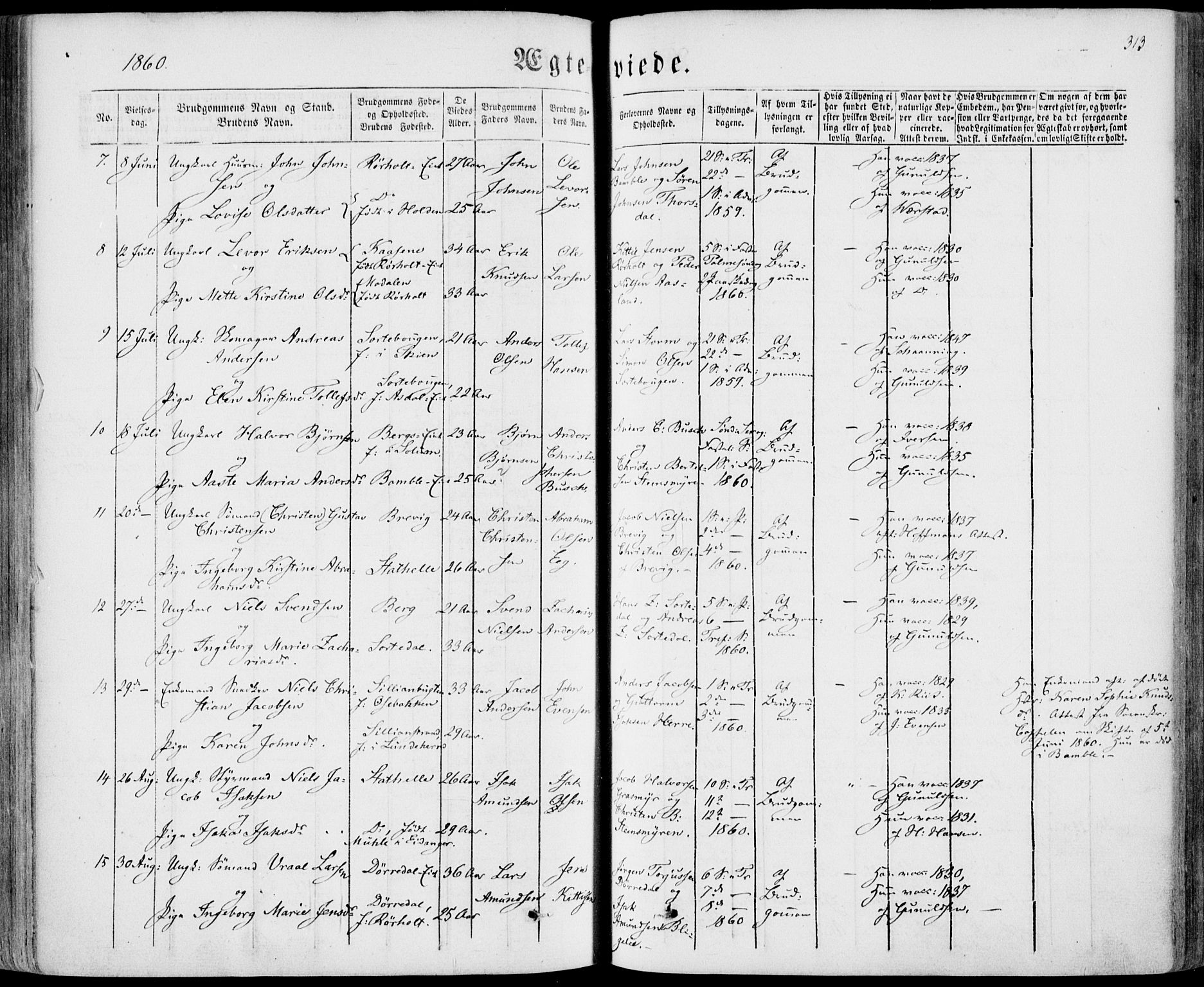 Bamble kirkebøker, SAKO/A-253/F/Fa/L0005: Parish register (official) no. I 5, 1854-1869, p. 313