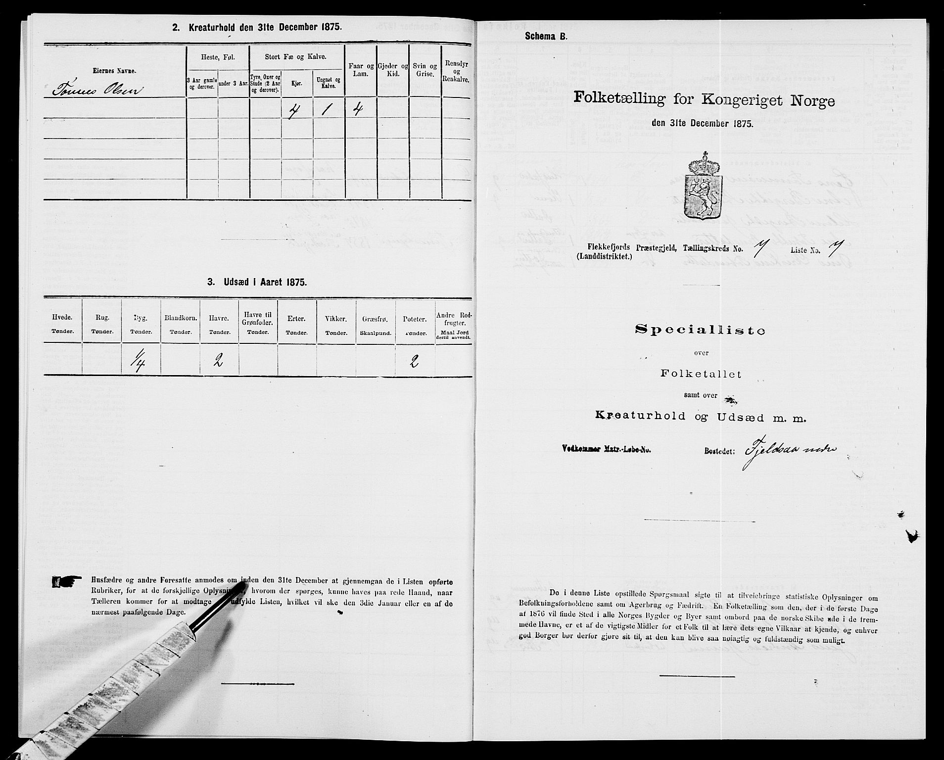 SAK, 1875 census for 1042L Flekkefjord/Nes og Hidra, 1875, p. 875