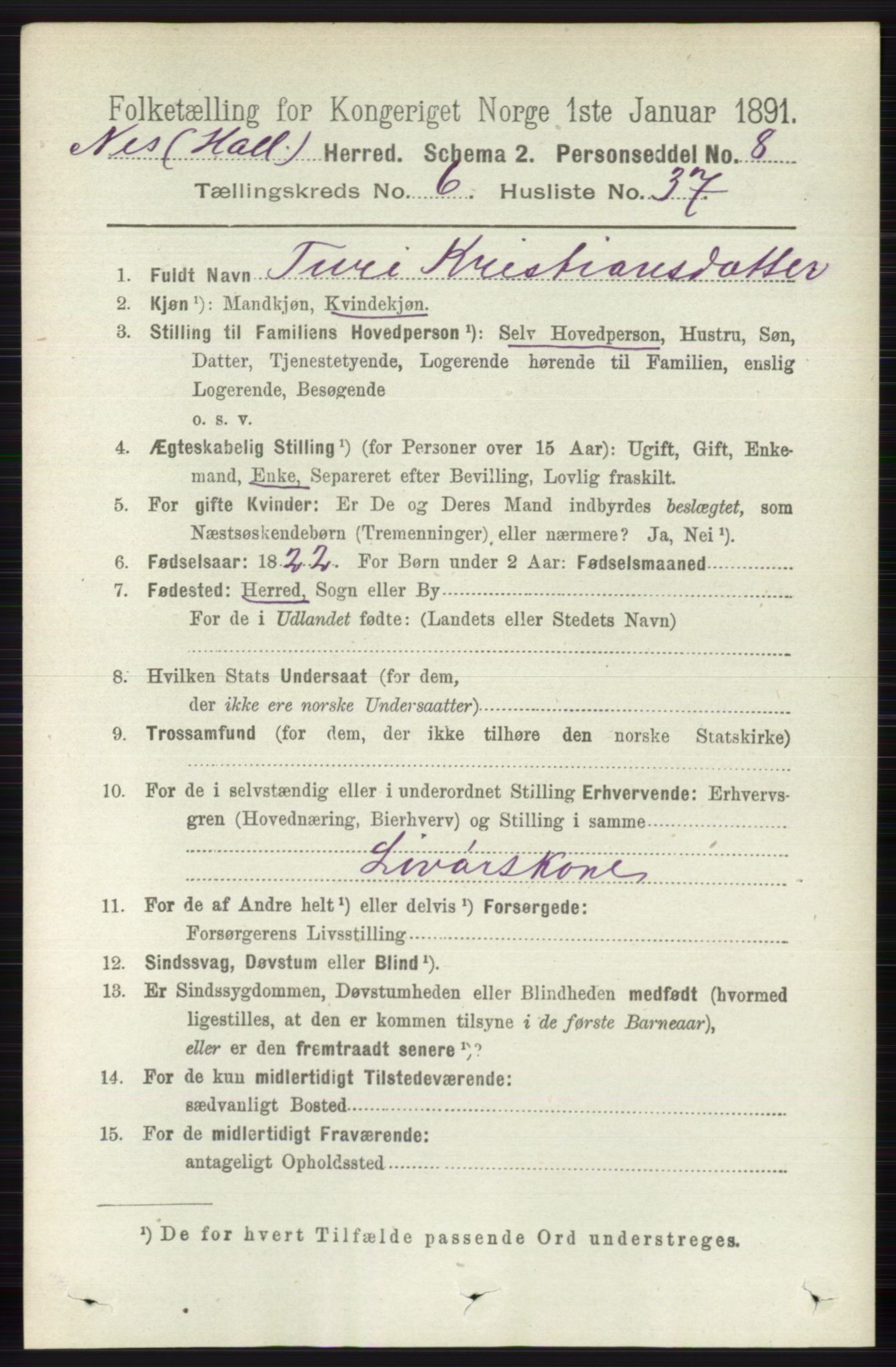 RA, 1891 census for 0616 Nes, 1891, p. 3251