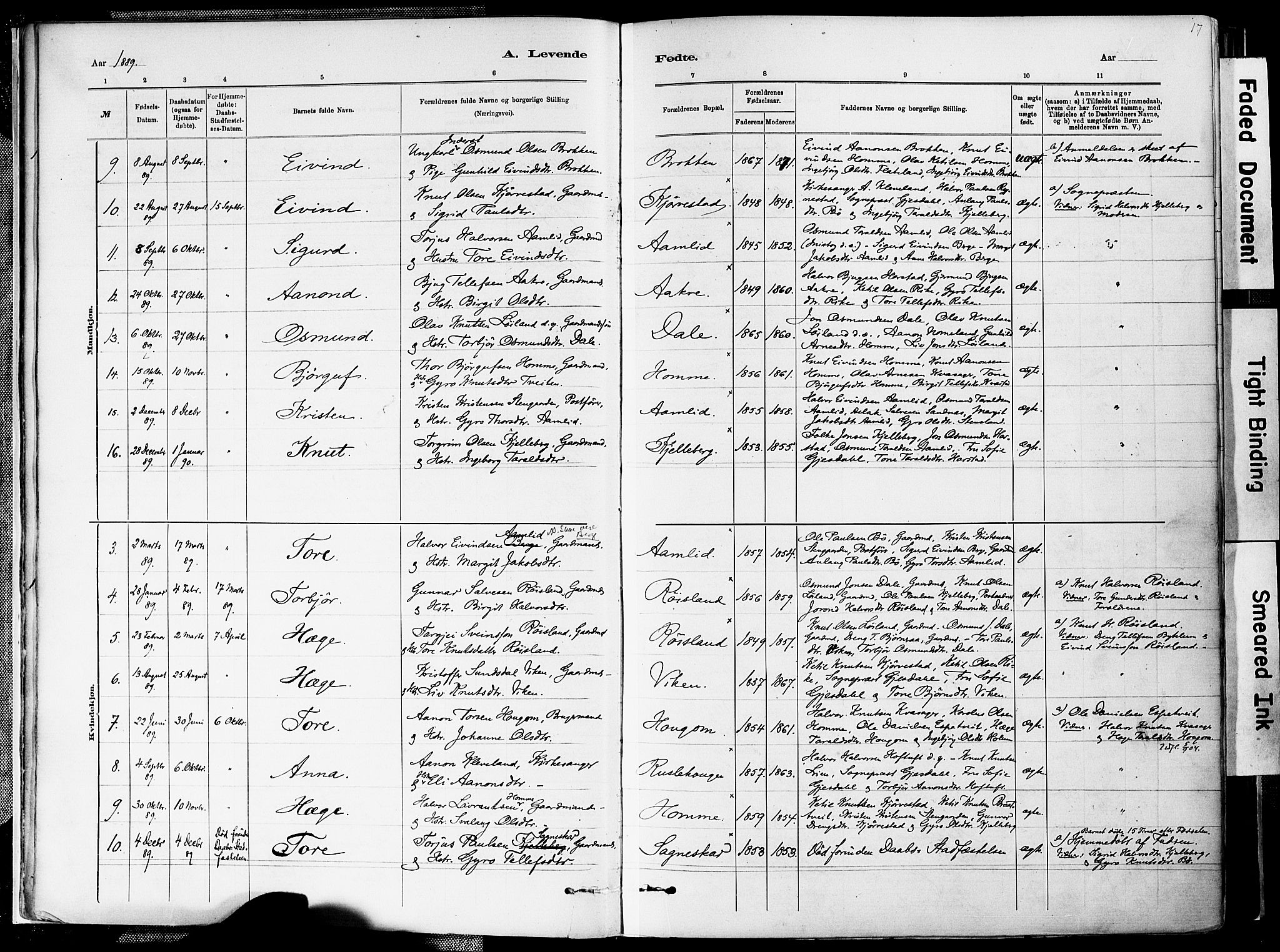 Valle sokneprestkontor, SAK/1111-0044/F/Fa/Fac/L0009: Parish register (official) no. A 9, 1882-1913, p. 17