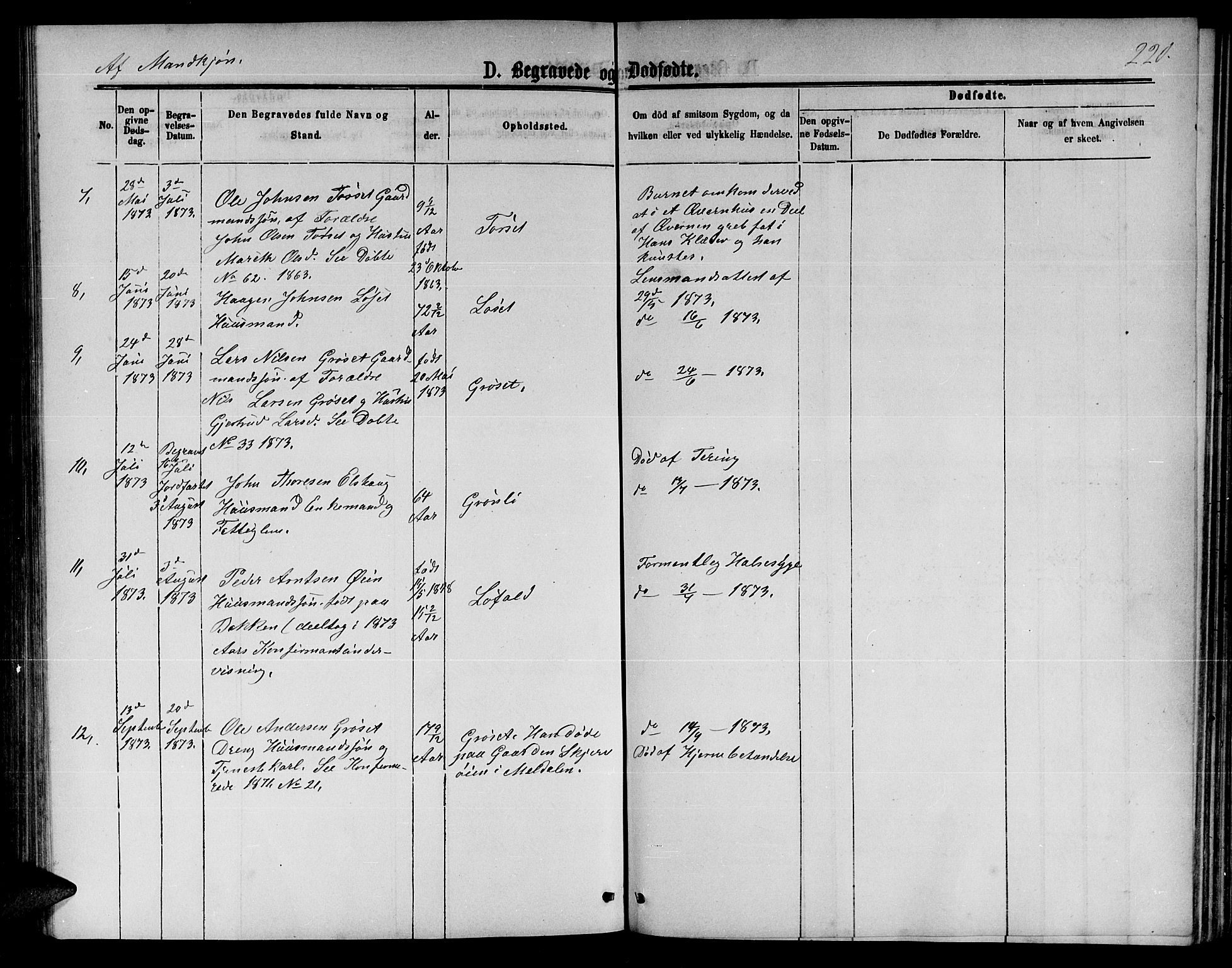 Ministerialprotokoller, klokkerbøker og fødselsregistre - Møre og Romsdal, AV/SAT-A-1454/598/L1076: Parish register (copy) no. 598C01, 1867-1878, p. 220