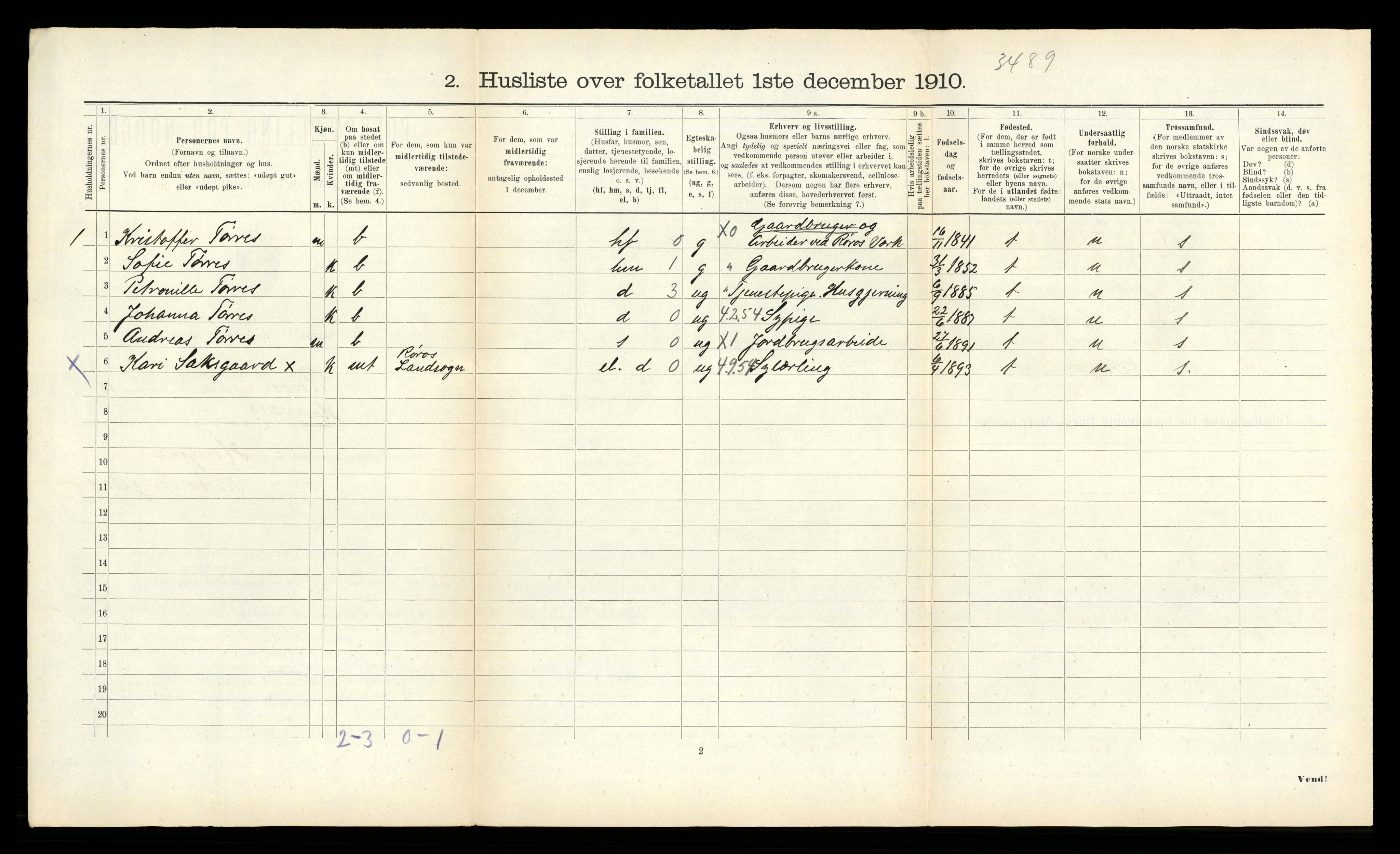 RA, 1910 census for Røros, 1910, p. 1192