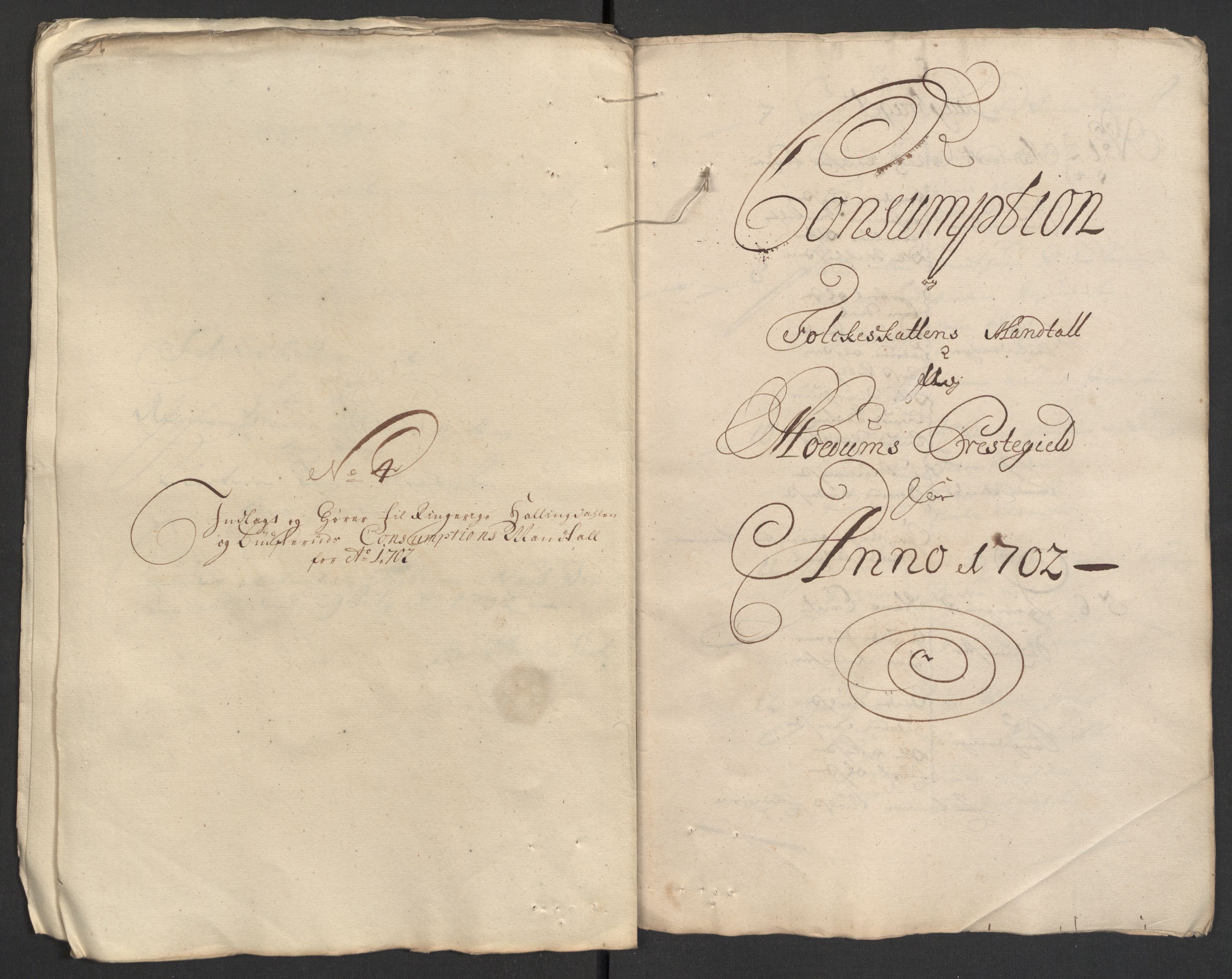 Rentekammeret inntil 1814, Reviderte regnskaper, Fogderegnskap, AV/RA-EA-4092/R22/L1459: Fogderegnskap Ringerike, Hallingdal og Buskerud, 1702, p. 207