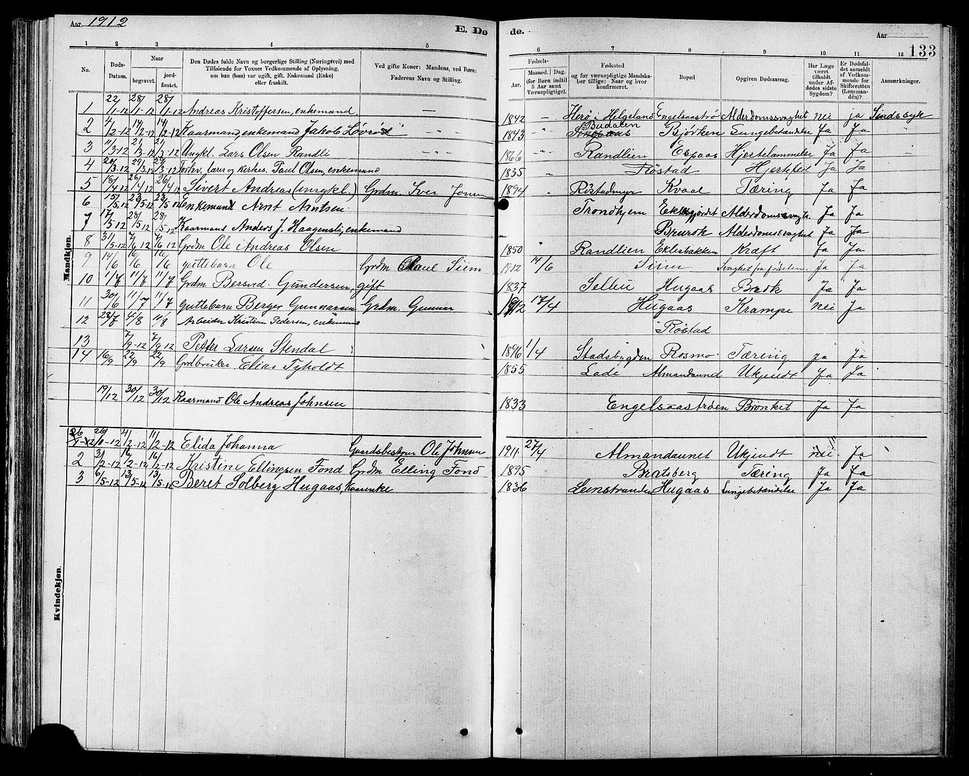 Ministerialprotokoller, klokkerbøker og fødselsregistre - Sør-Trøndelag, SAT/A-1456/608/L0341: Parish register (copy) no. 608C07, 1890-1912, p. 133