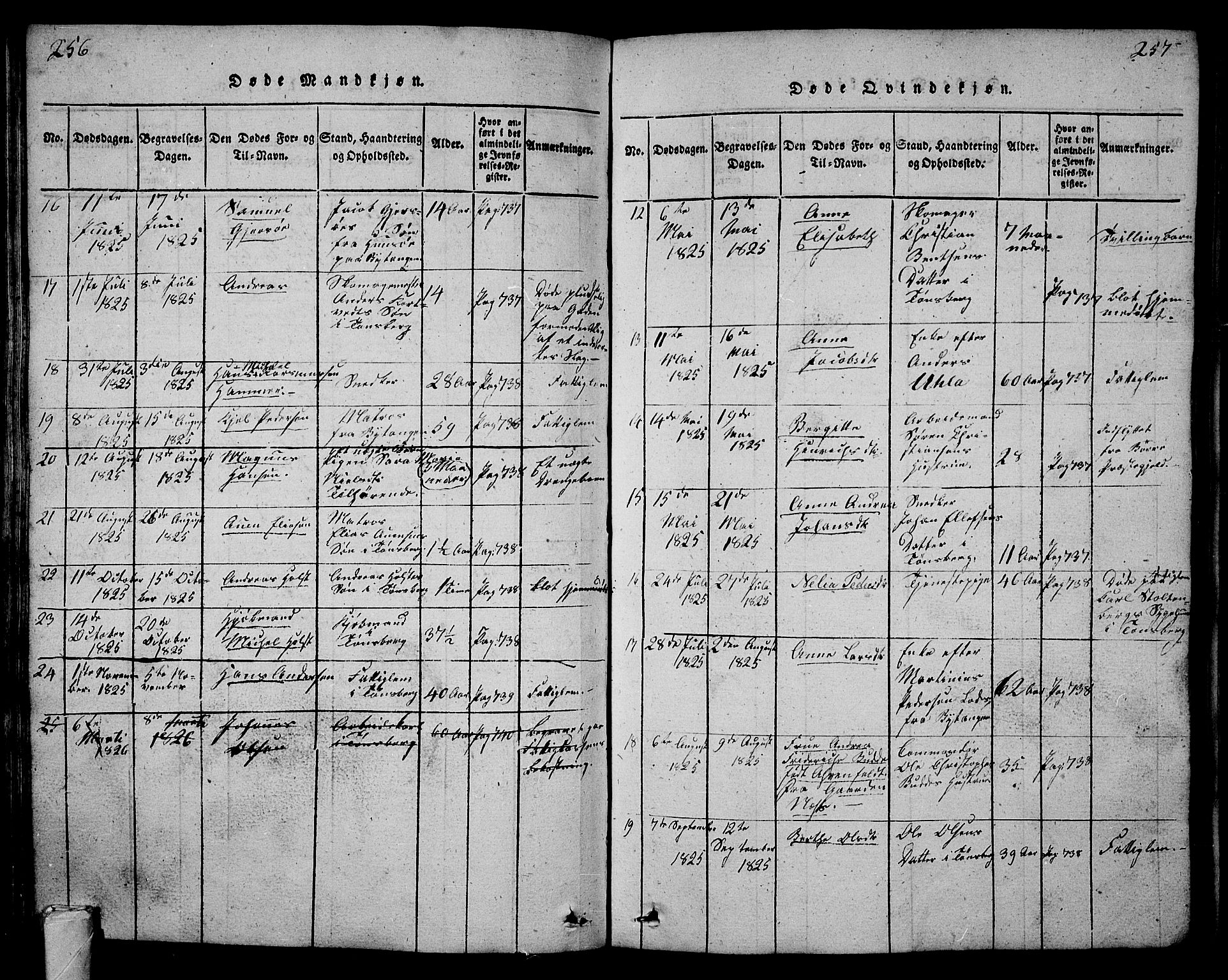 Tønsberg kirkebøker, AV/SAKO-A-330/G/Ga/L0001: Parish register (copy) no. 1, 1813-1826, p. 256-257