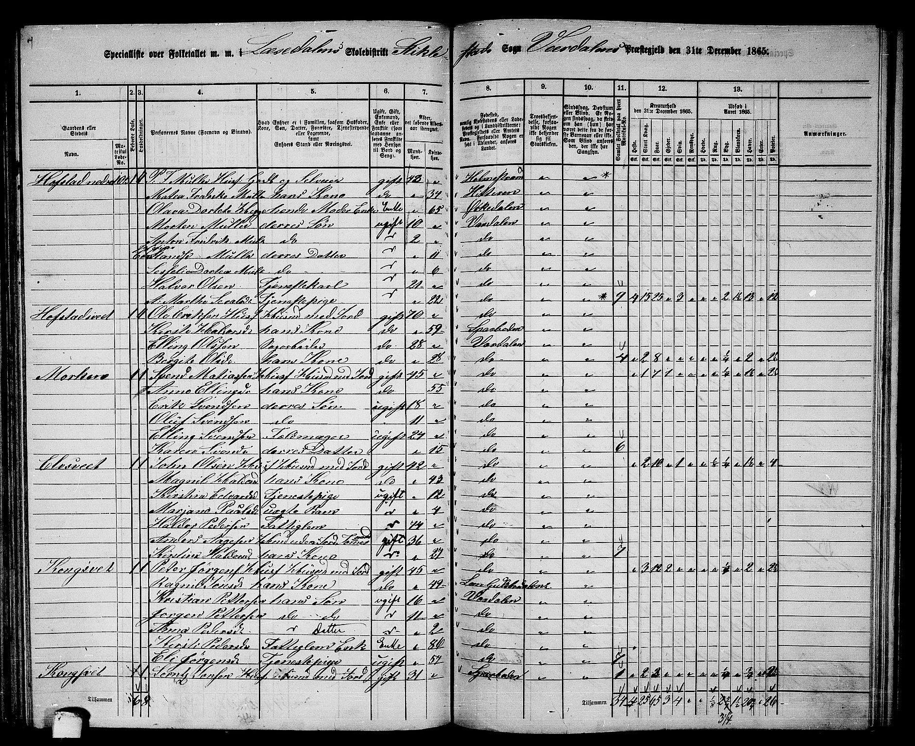 RA, 1865 census for Verdal, 1865, p. 133