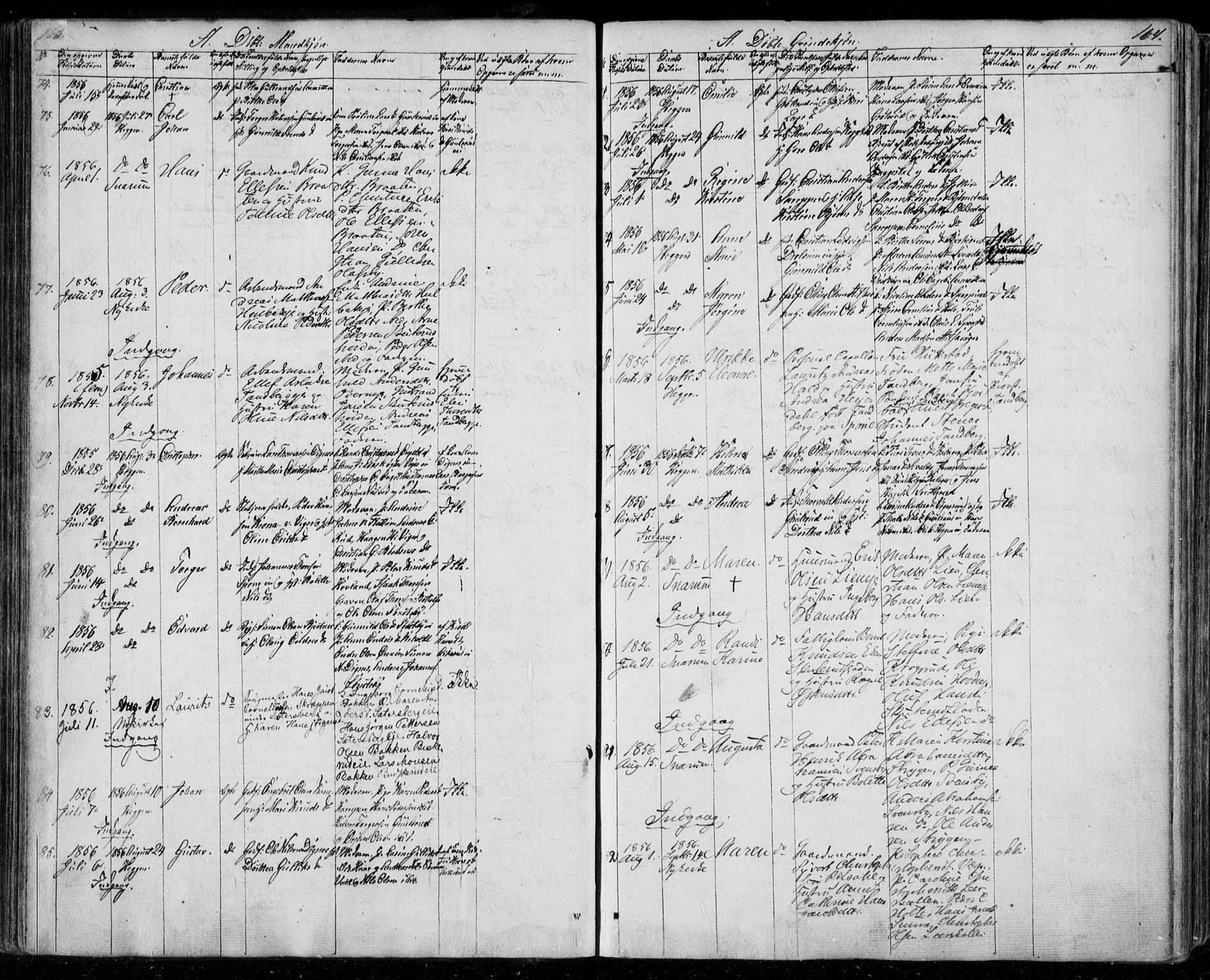 Modum kirkebøker, AV/SAKO-A-234/F/Fa/L0008: Parish register (official) no. 8, 1851-1859, p. 163-164